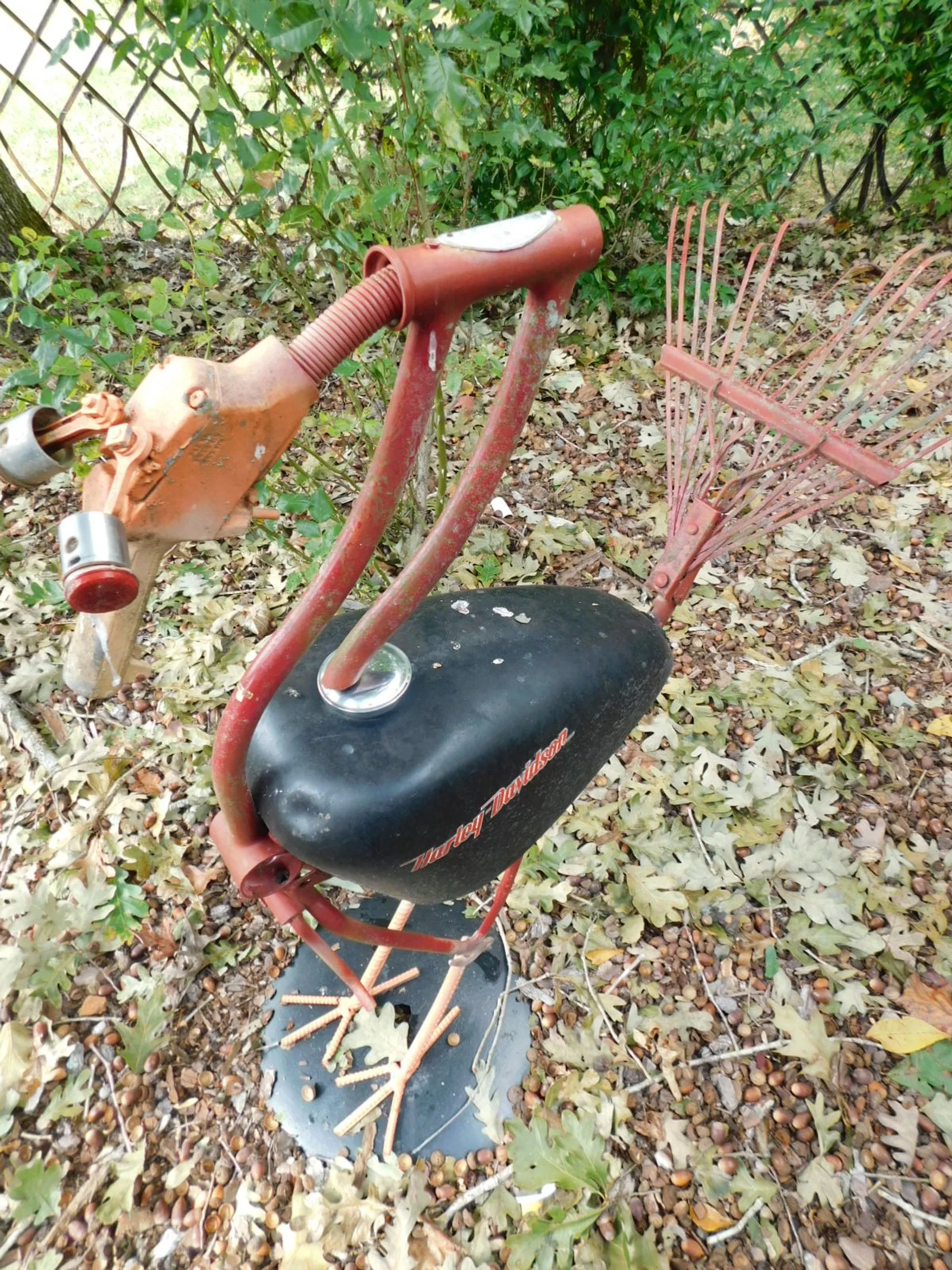 DSCN2034.JPG
