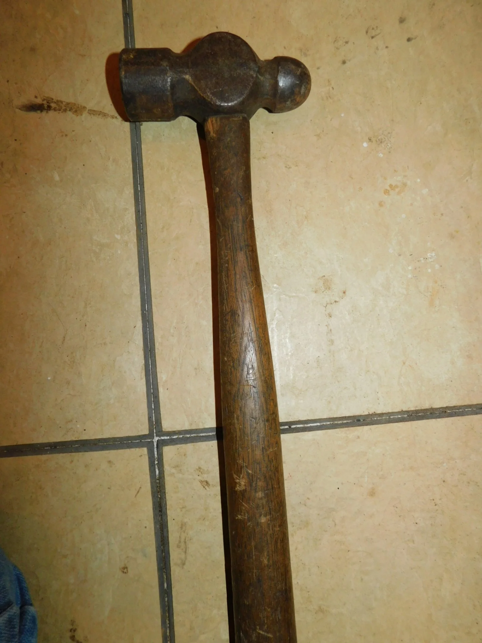DSCN2095.JPG