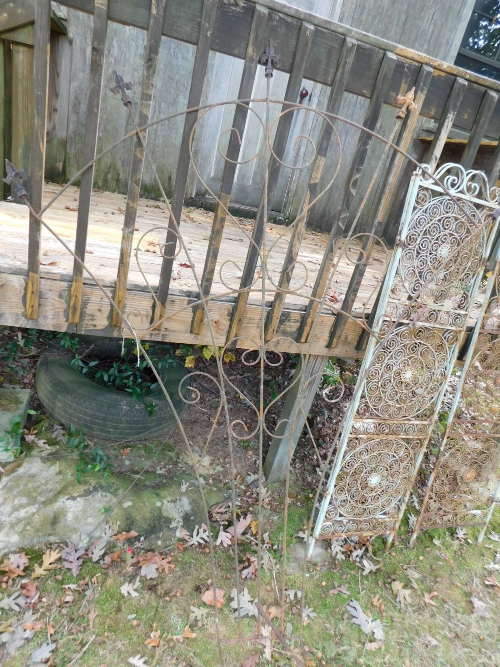 DSCN2159.JPG