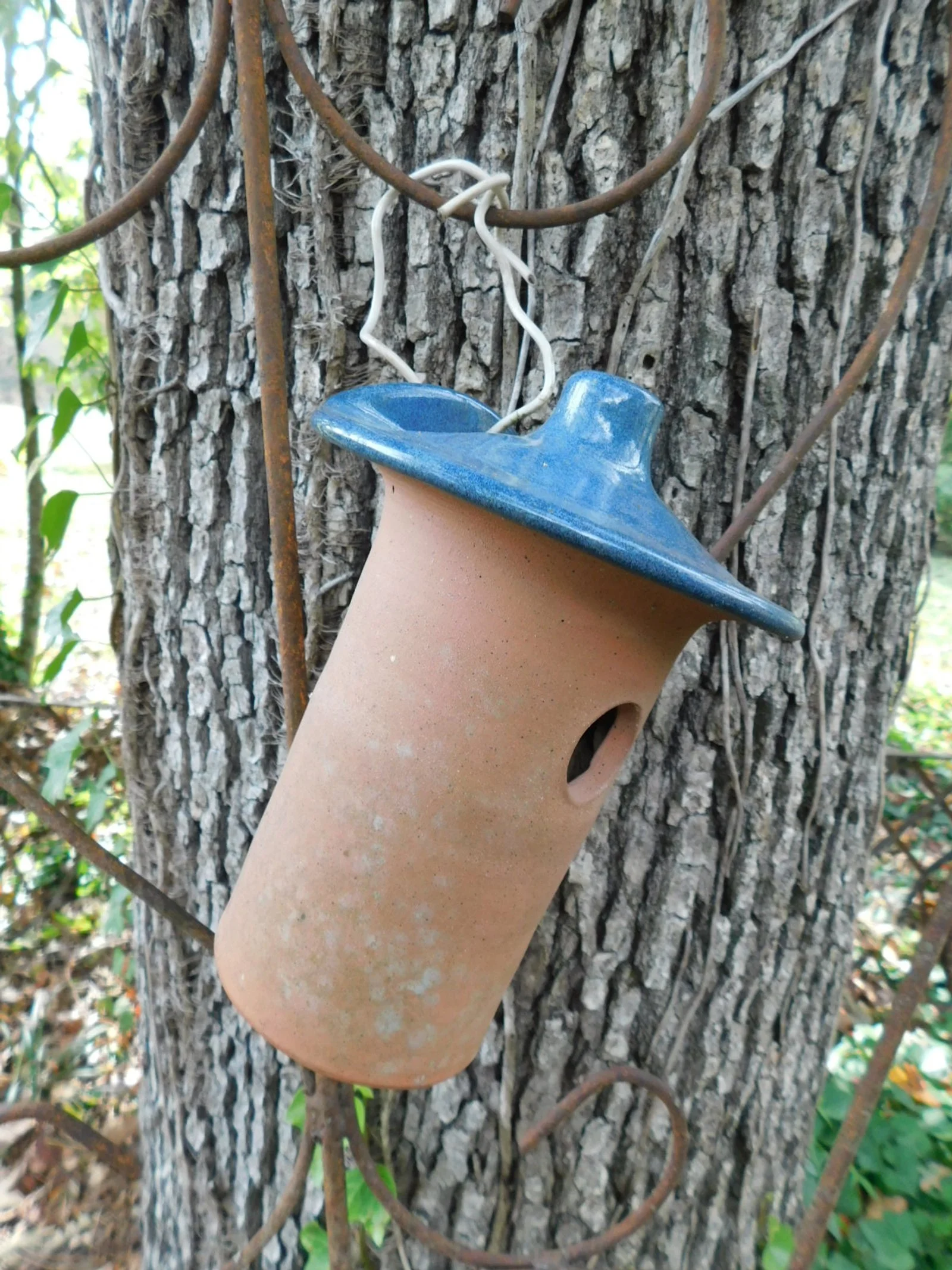 DSCN2162.JPG