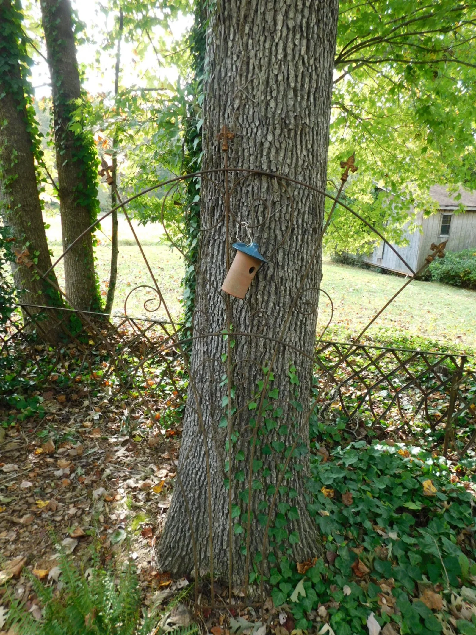 DSCN2161.JPG