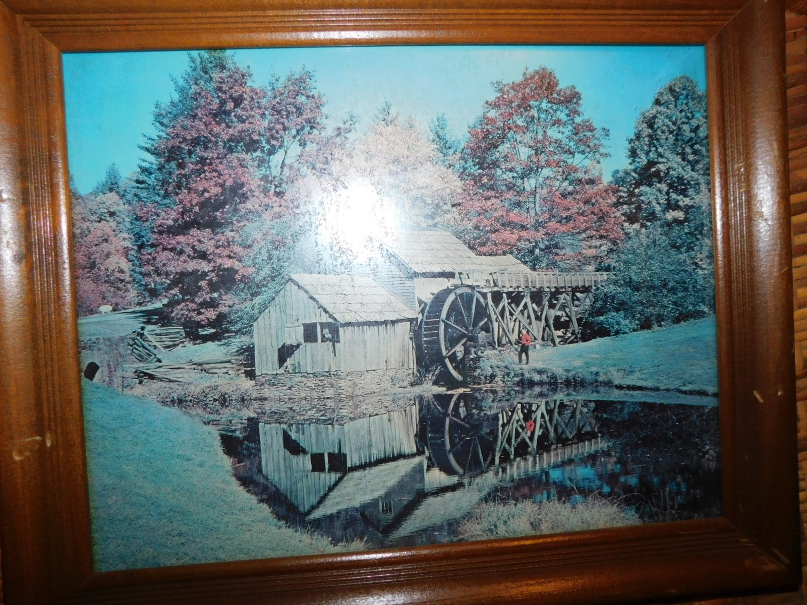 DSCN1510.JPG