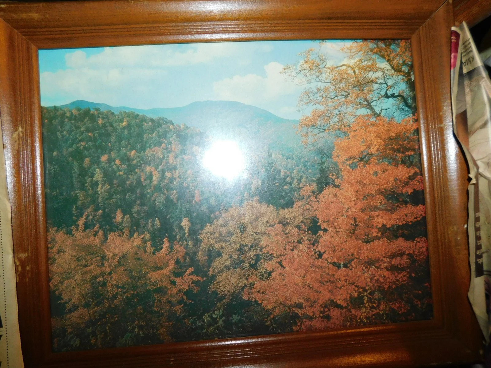 DSCN1511.JPG