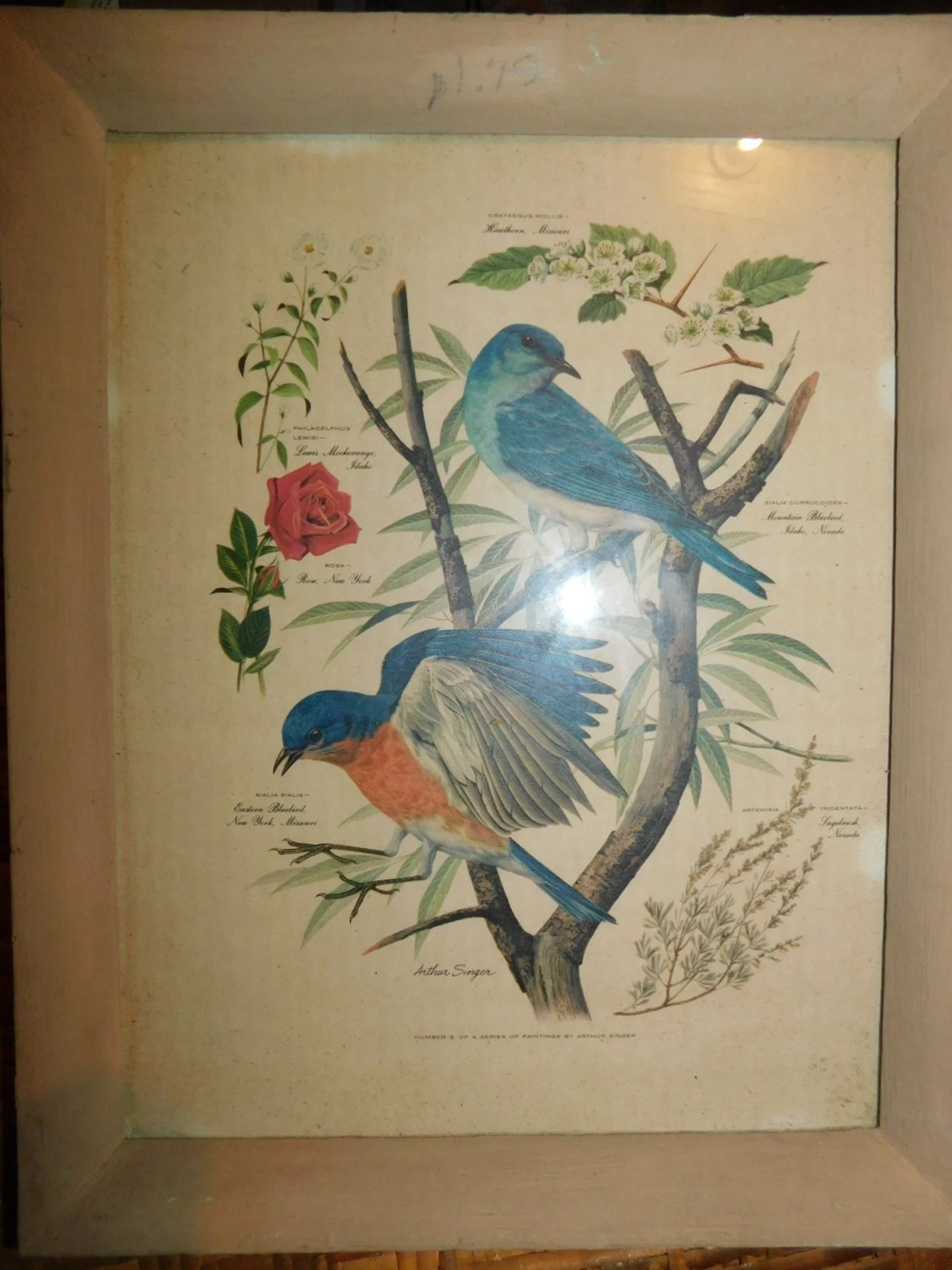 DSCN1513.JPG