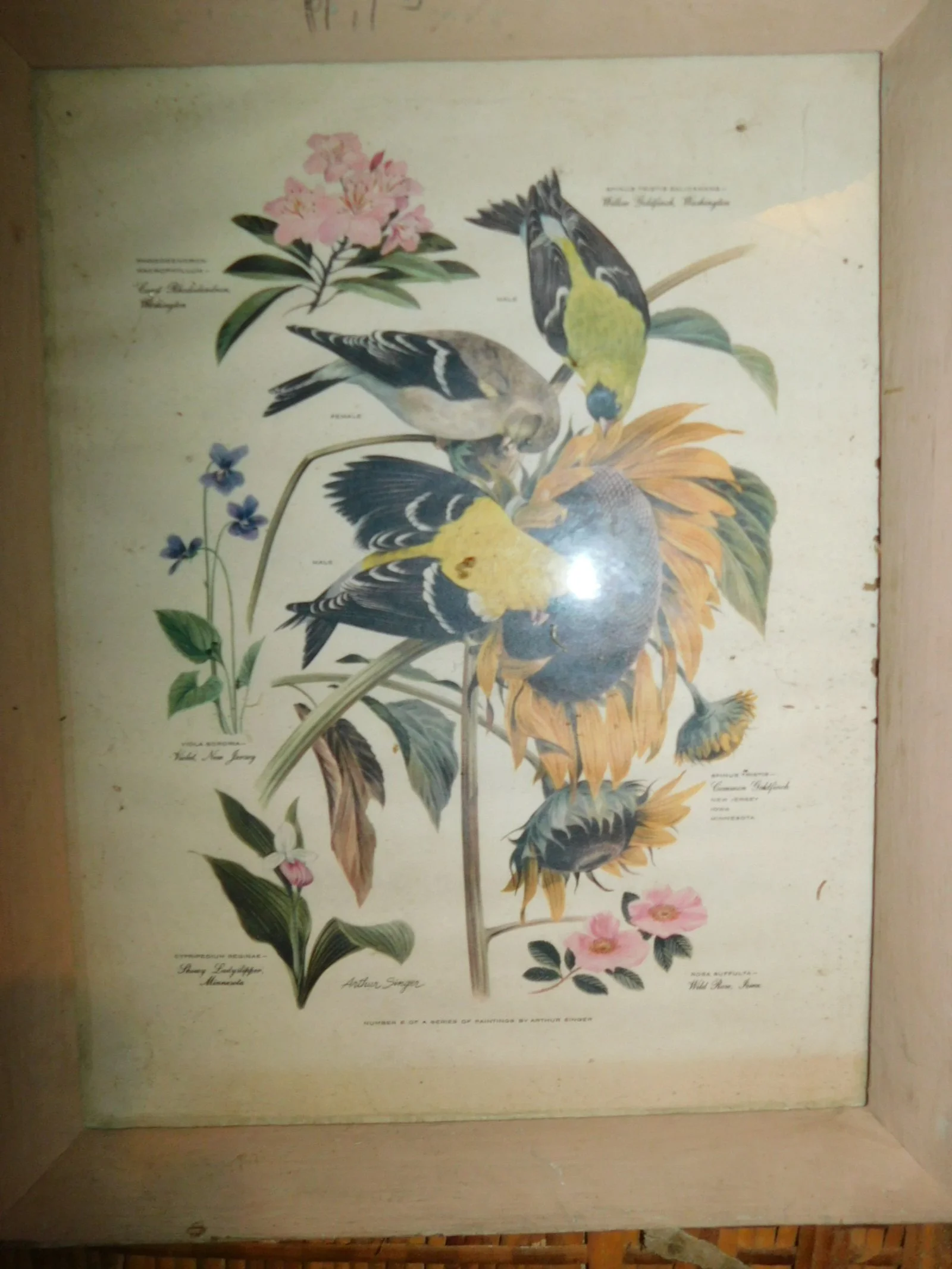 DSCN1515.JPG