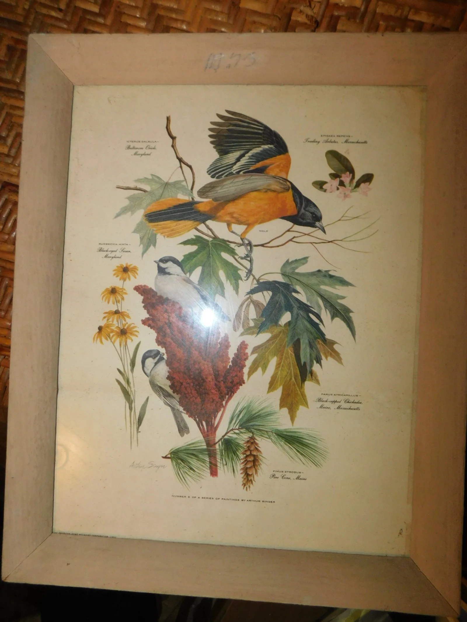 DSCN1517.JPG