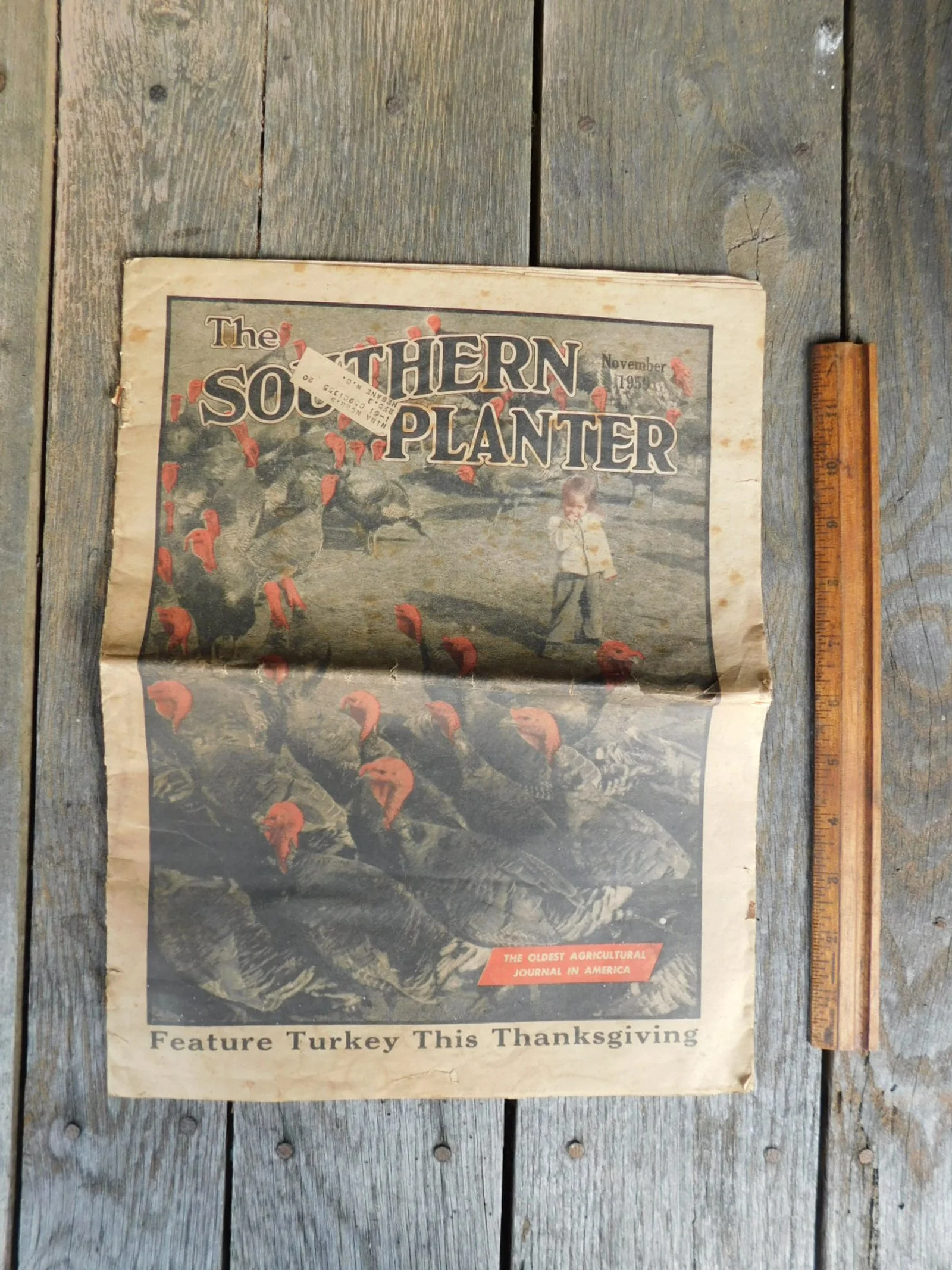 DSCN1539.JPG