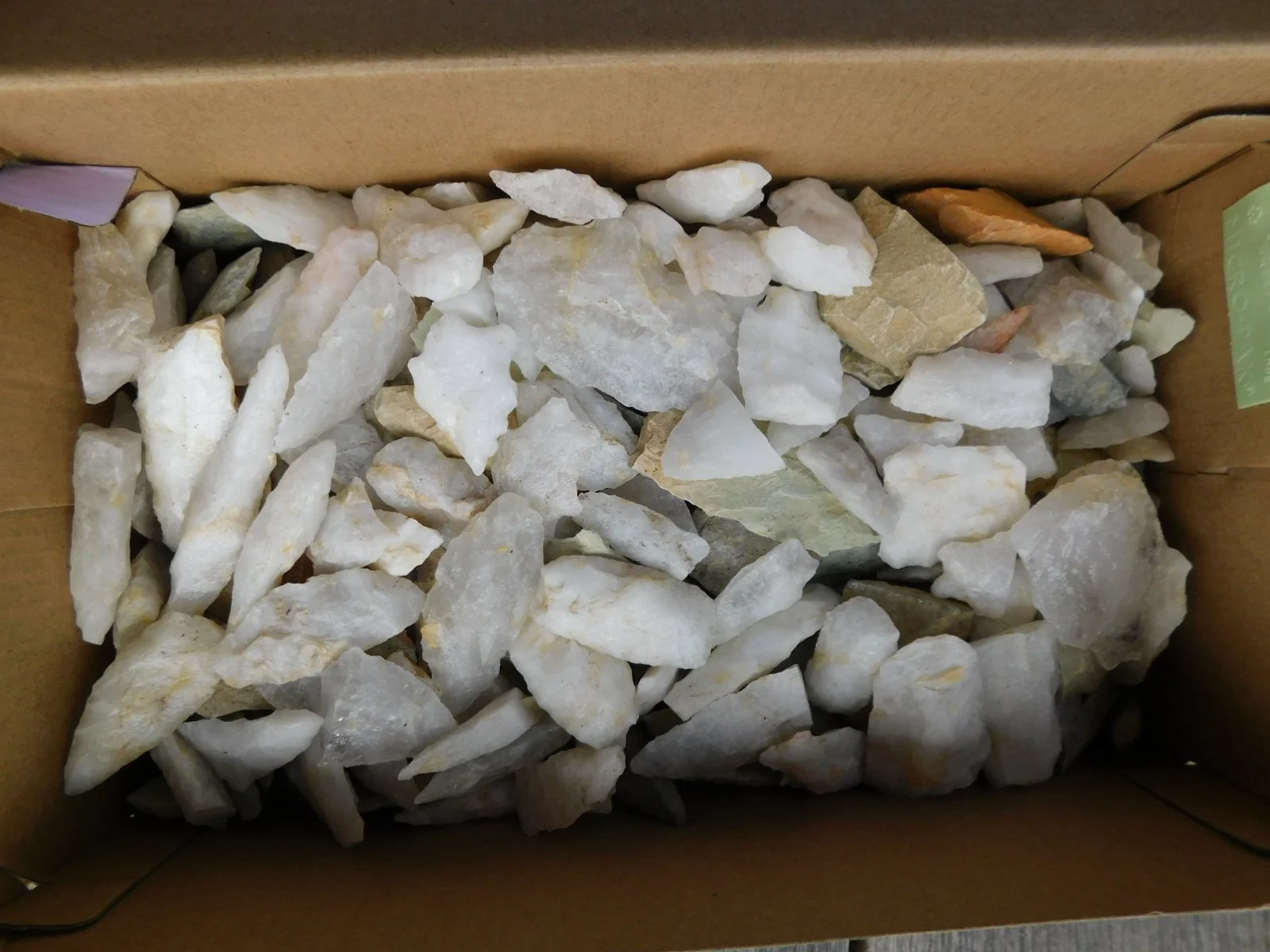 DSCN1606.JPG