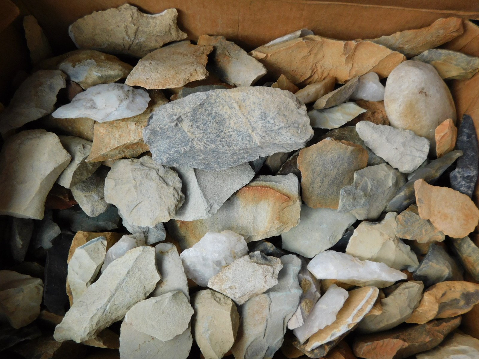 DSCN1607.JPG
