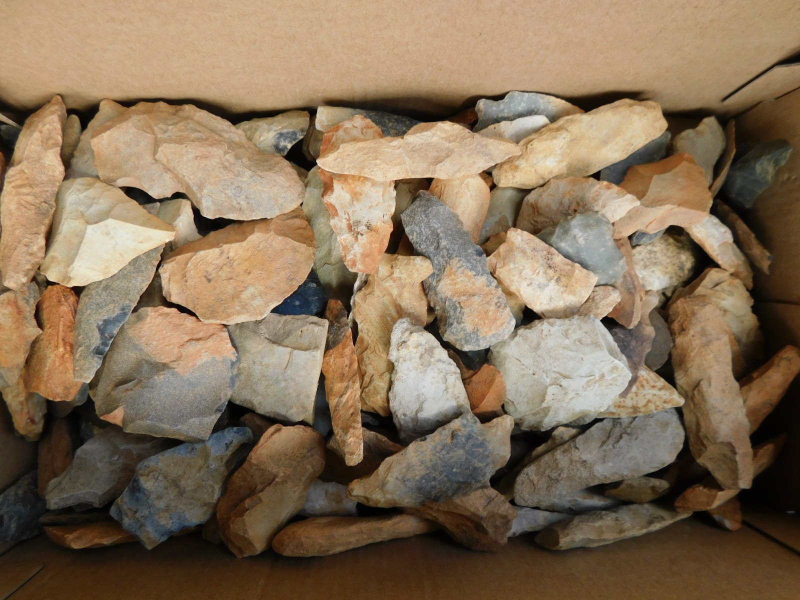DSCN1610.JPG