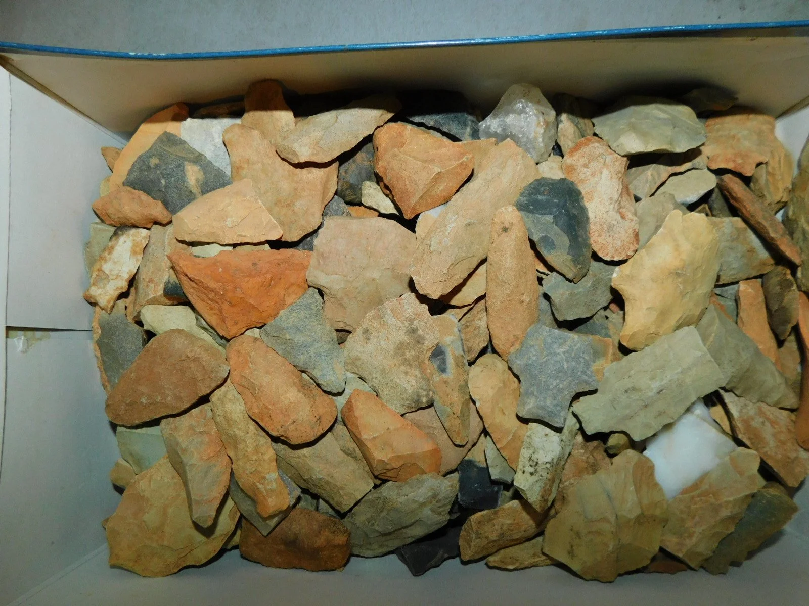 DSCN1617.JPG