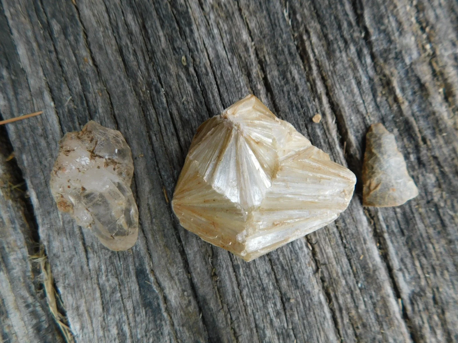 DSCN1636.JPG