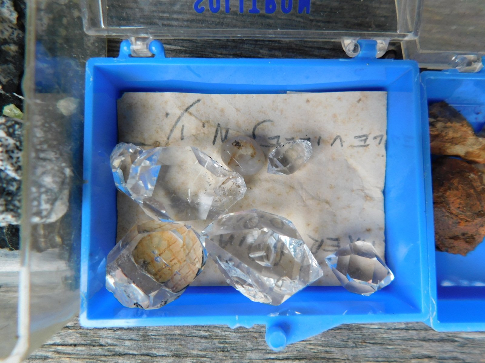 DSCN1646.JPG
