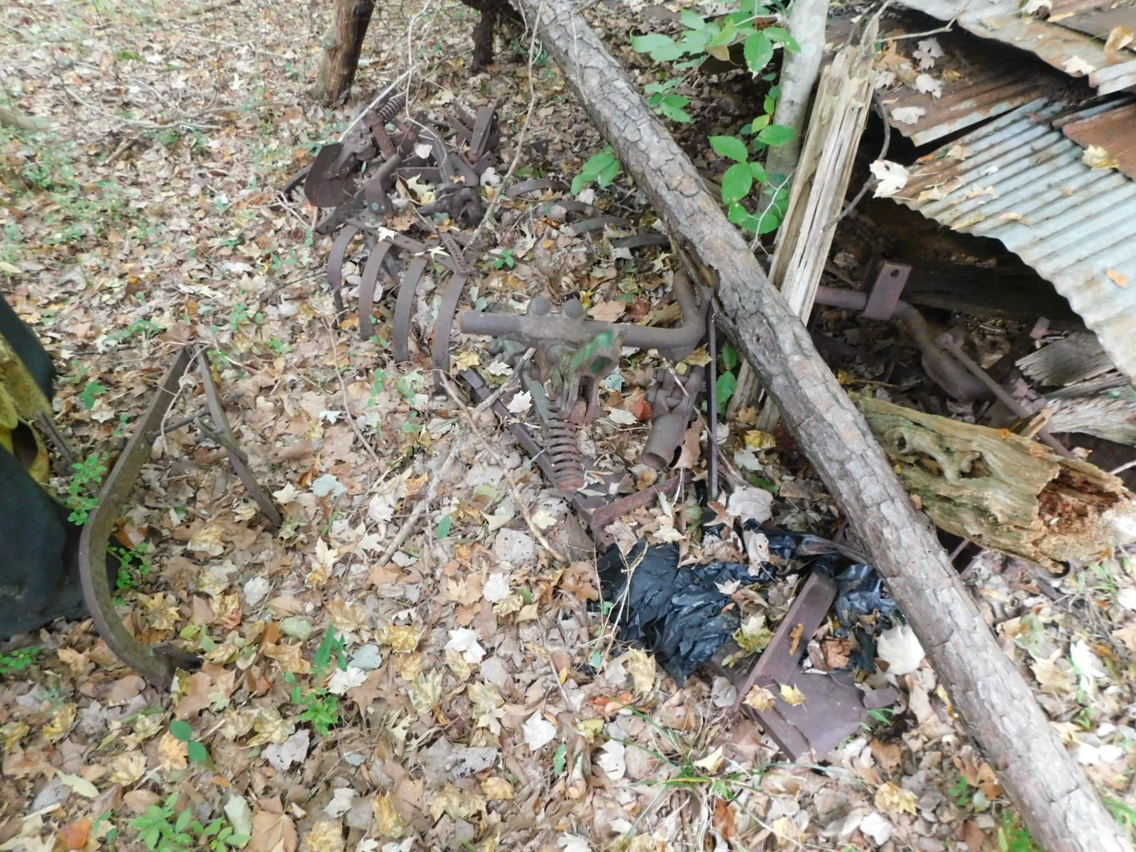 DSCN1765.JPG
