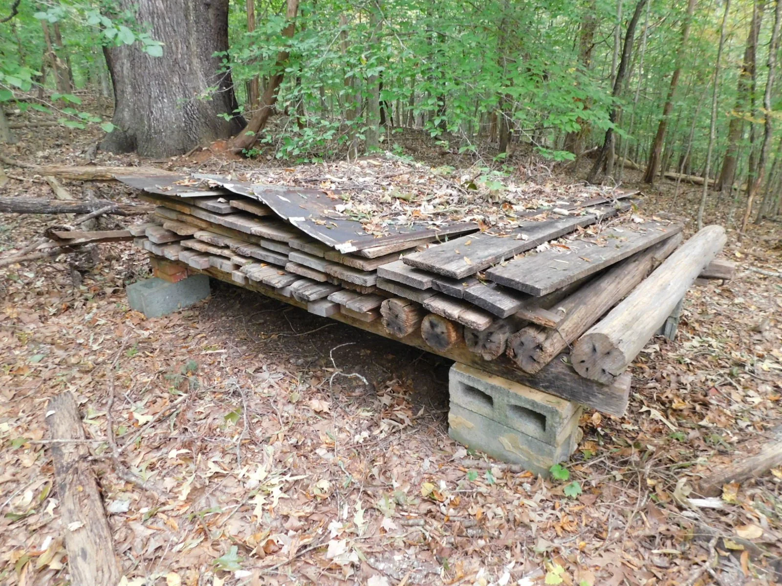 DSCN1767.JPG