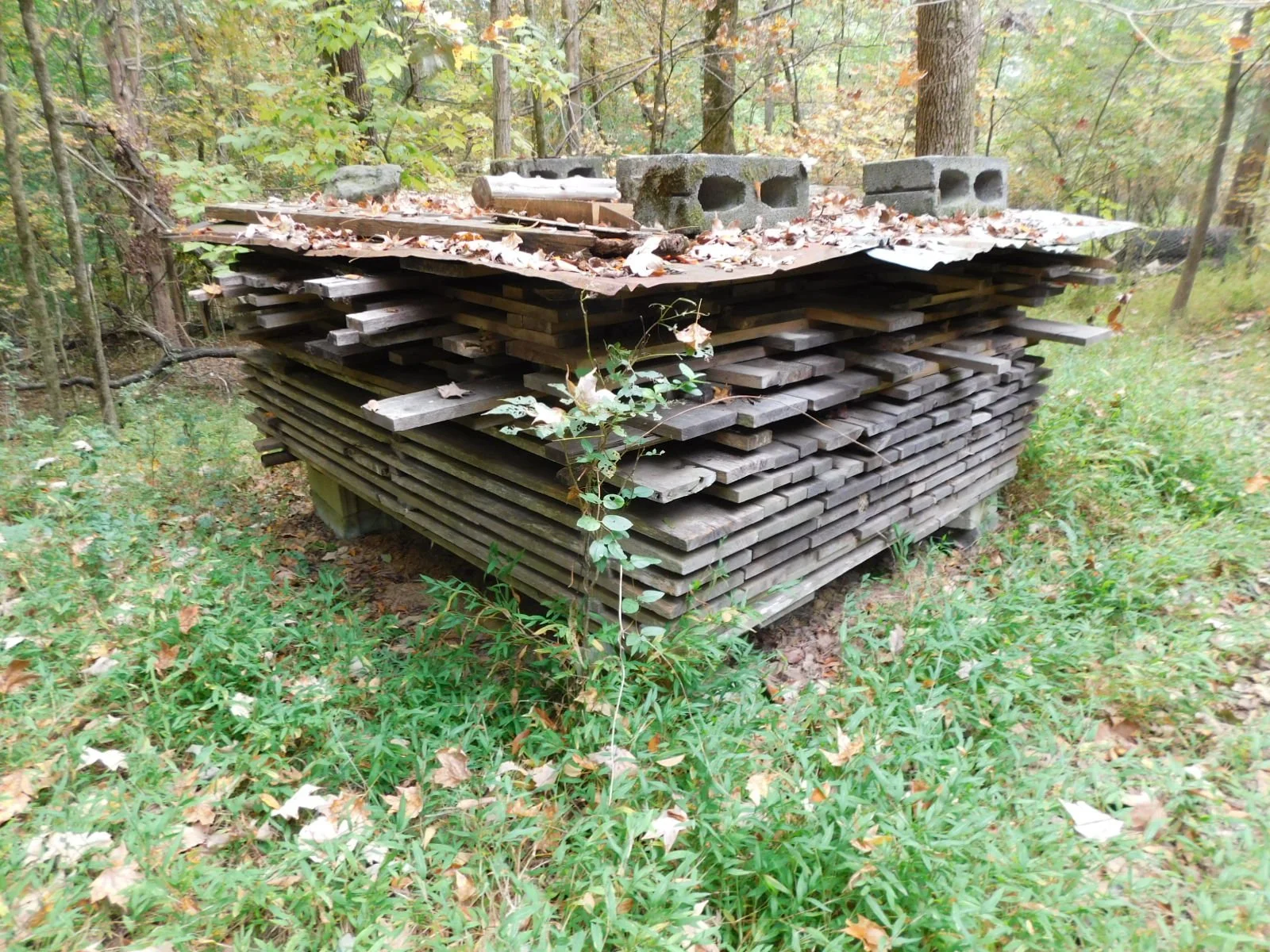 DSCN1772.JPG