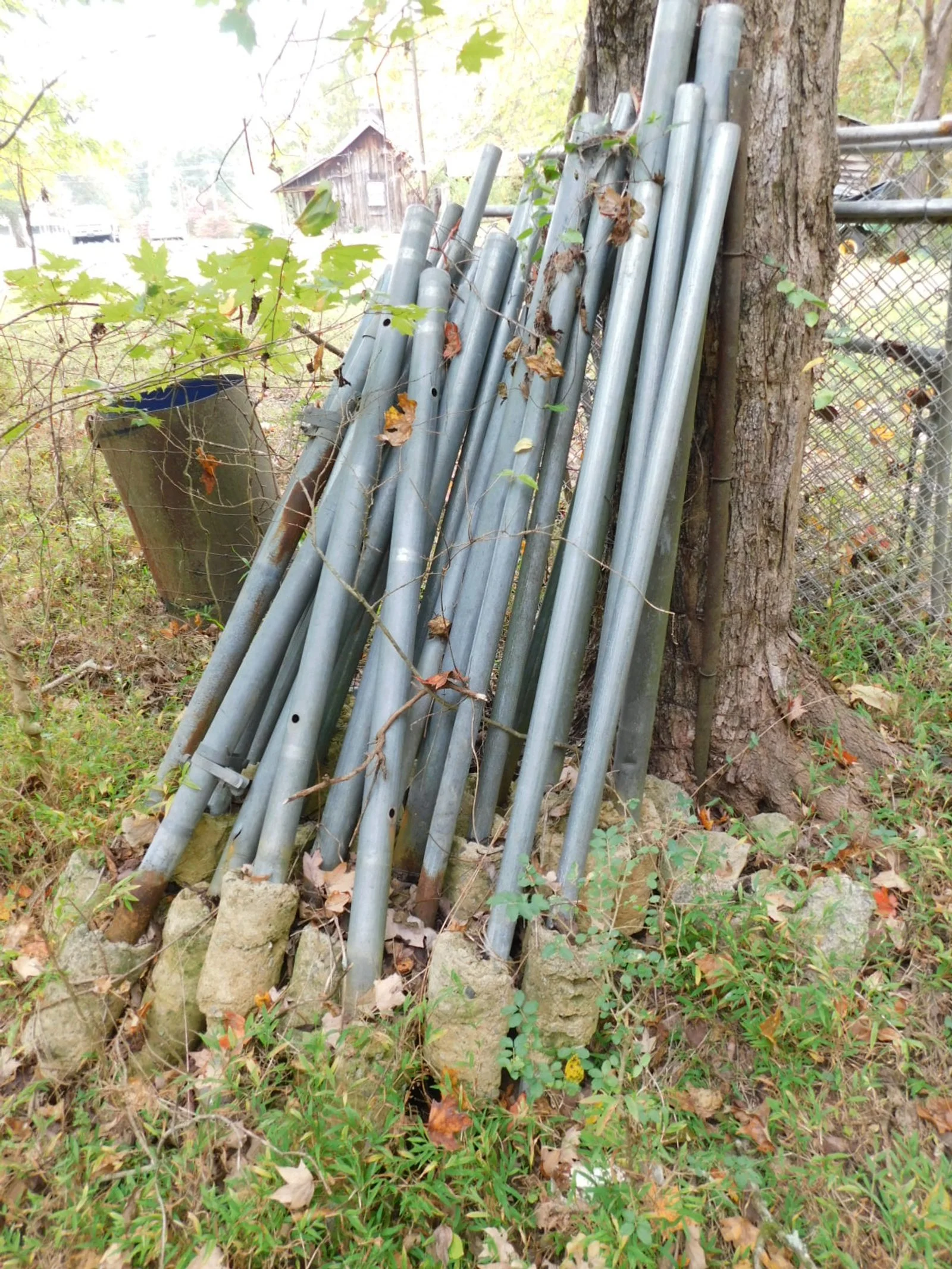 DSCN1774.JPG