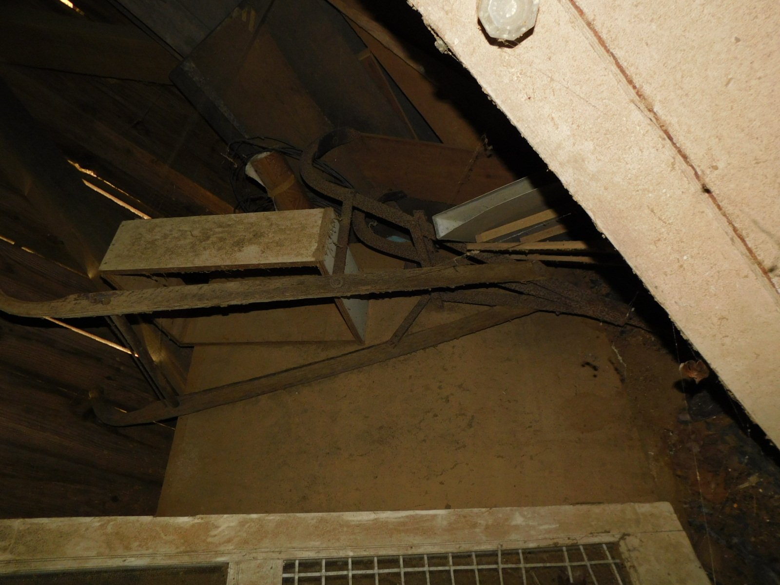 DSCN1780.JPG