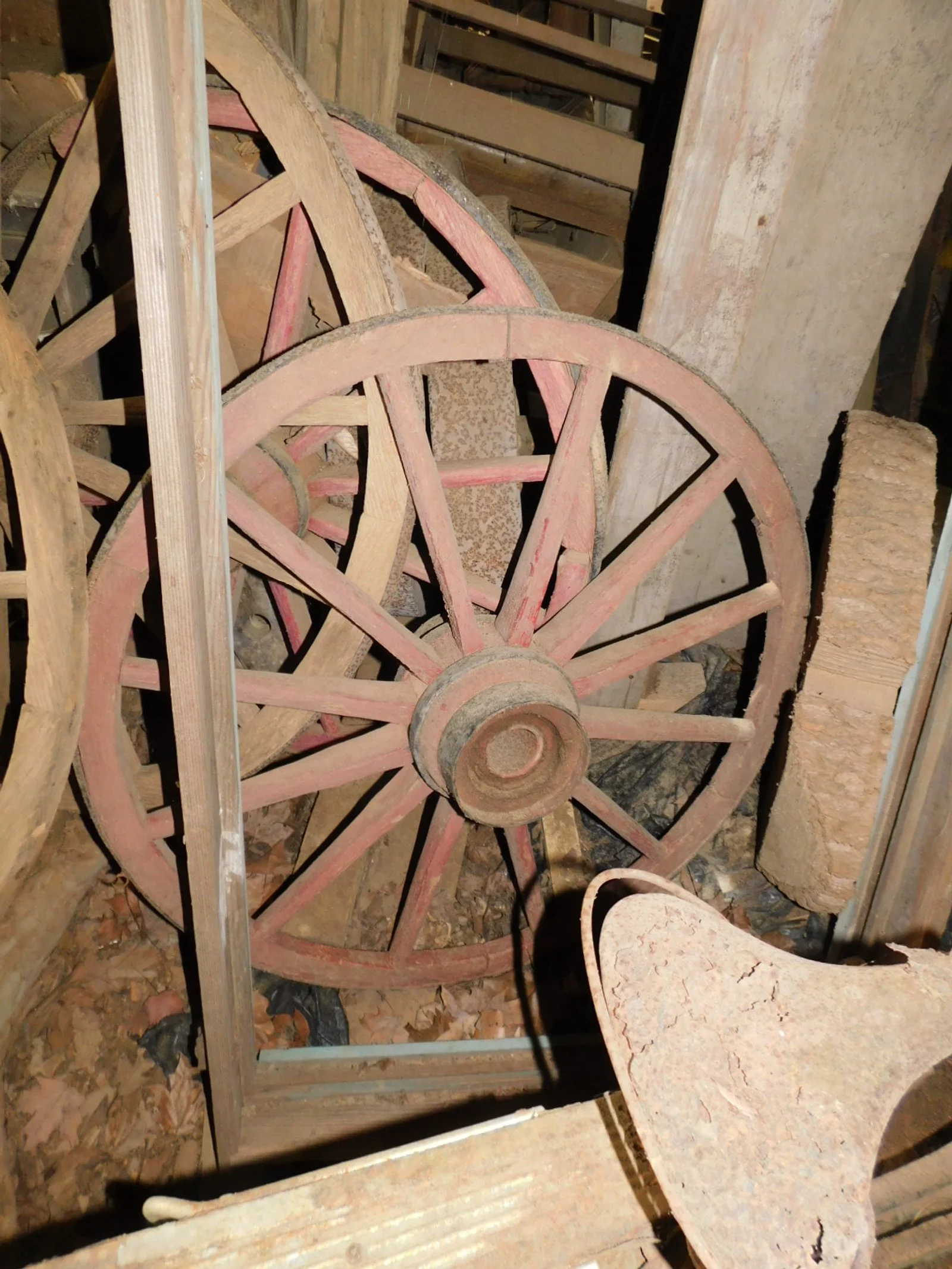 DSCN1782.JPG
