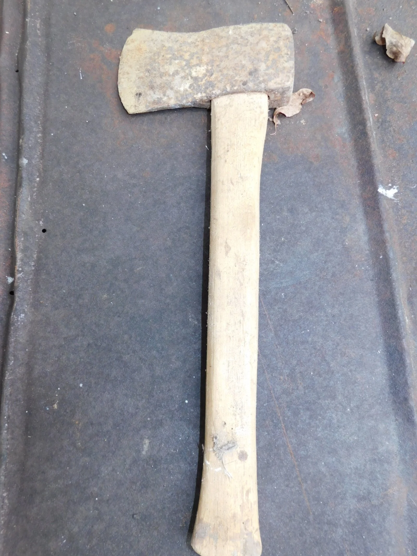 DSCN1810.JPG