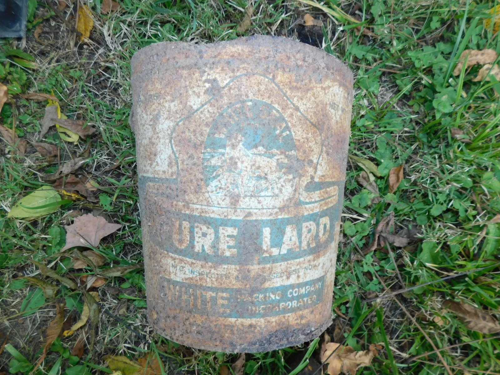 DSCN1815.JPG