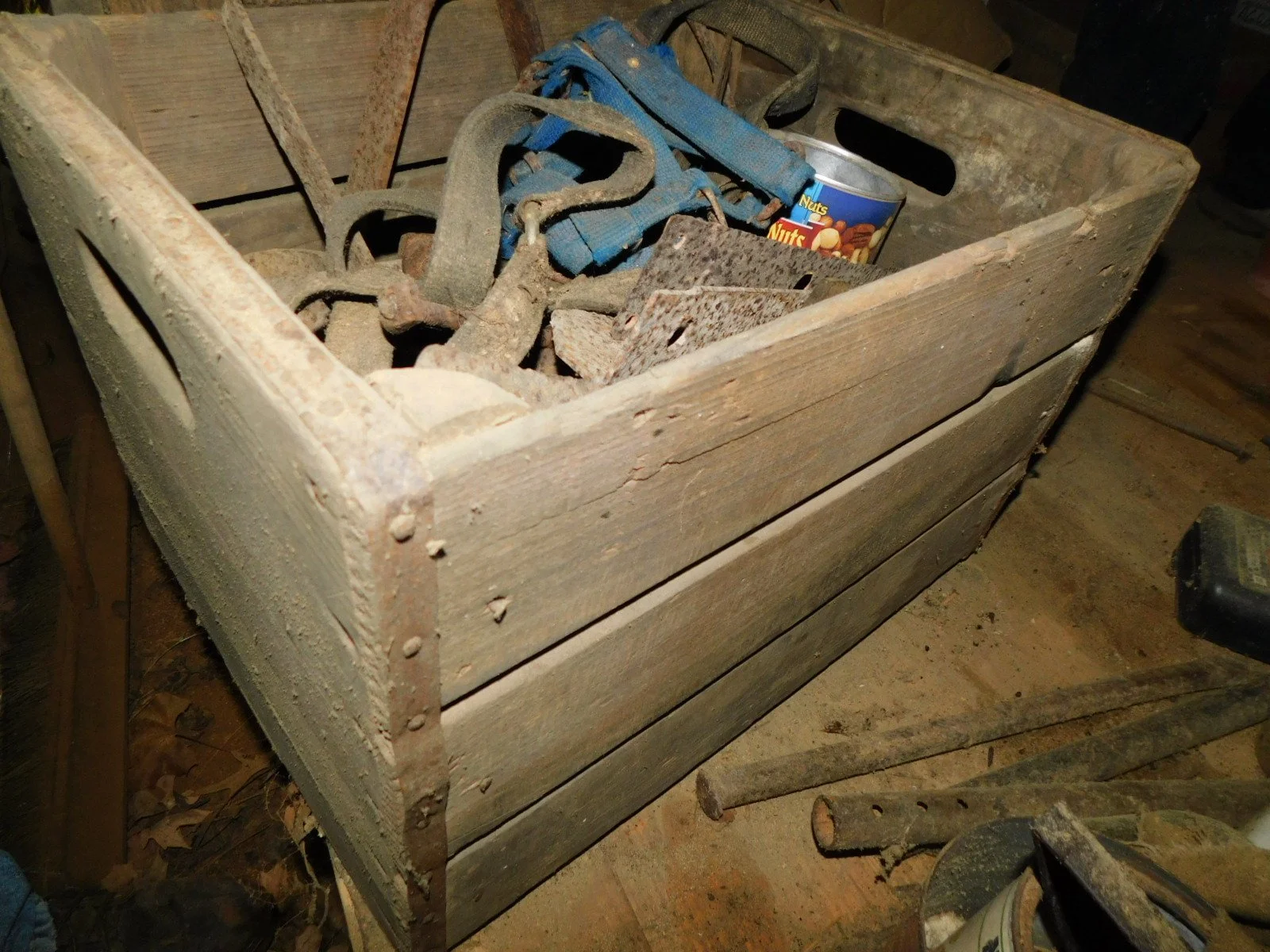 DSCN1856.JPG