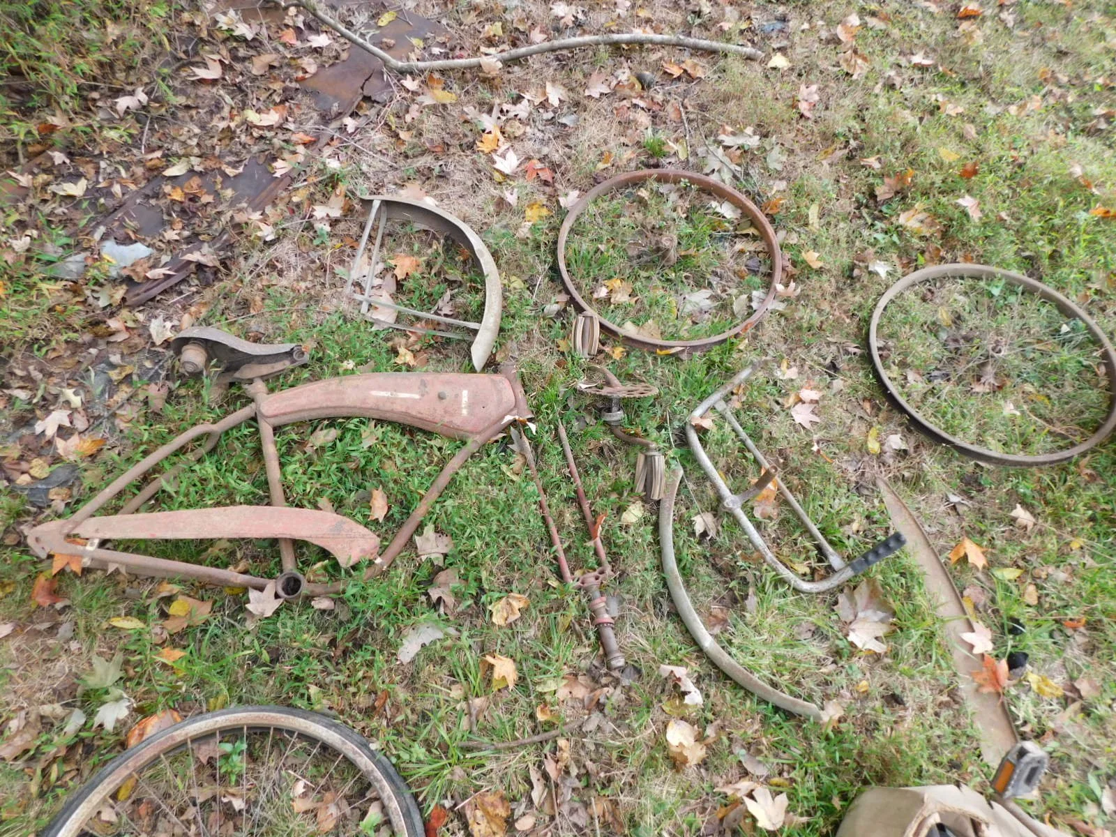 DSCN1872.JPG