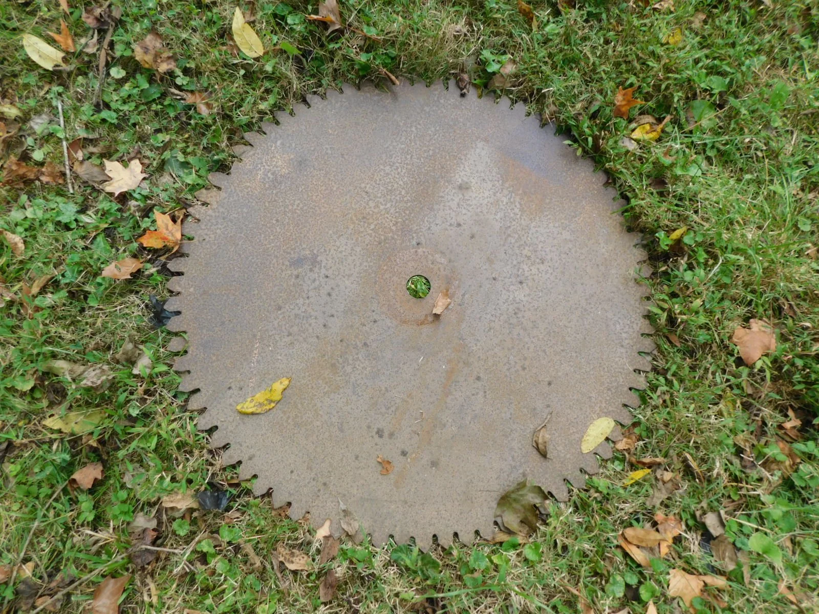 DSCN1882.JPG