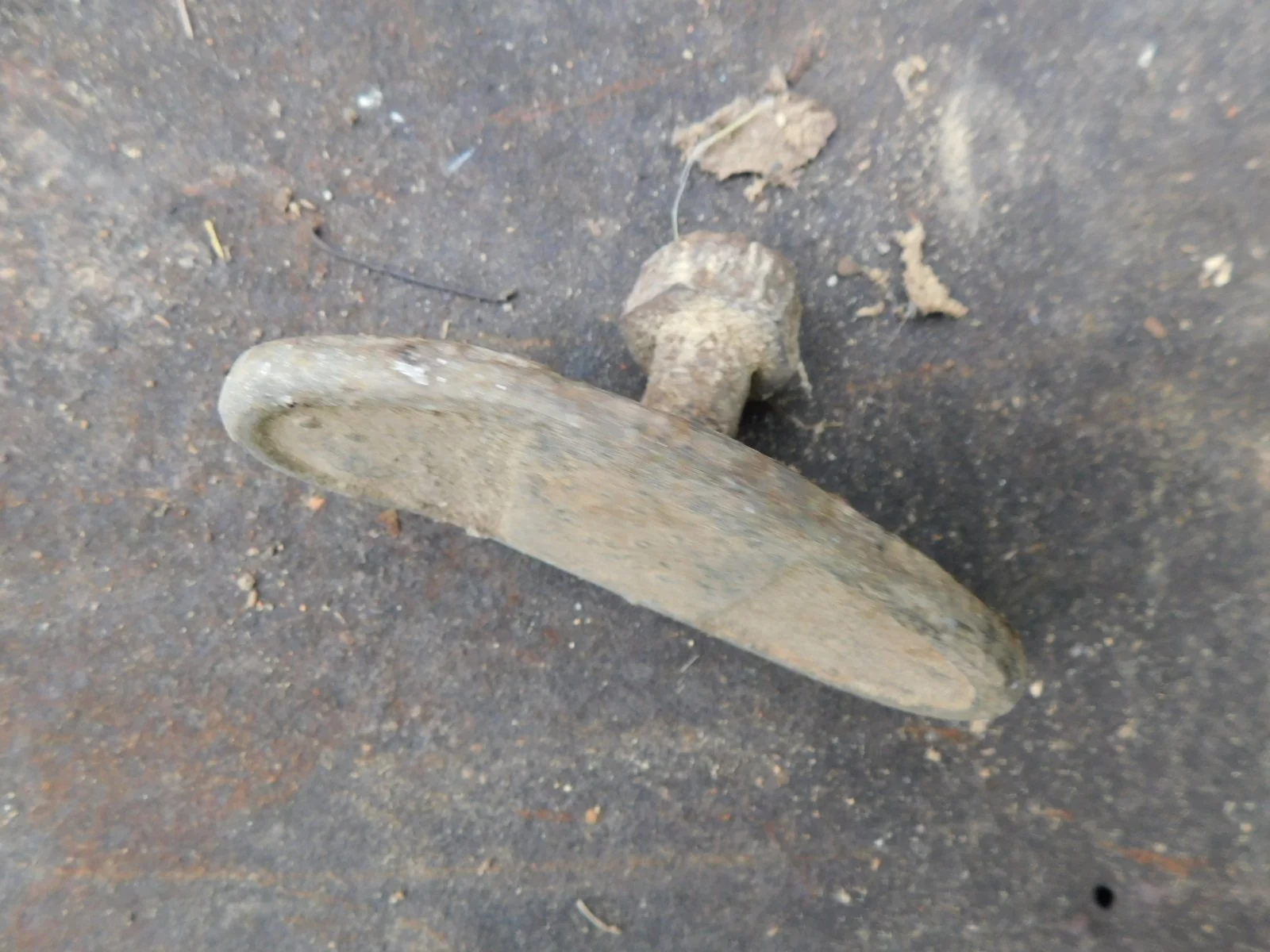 DSCN1893.JPG