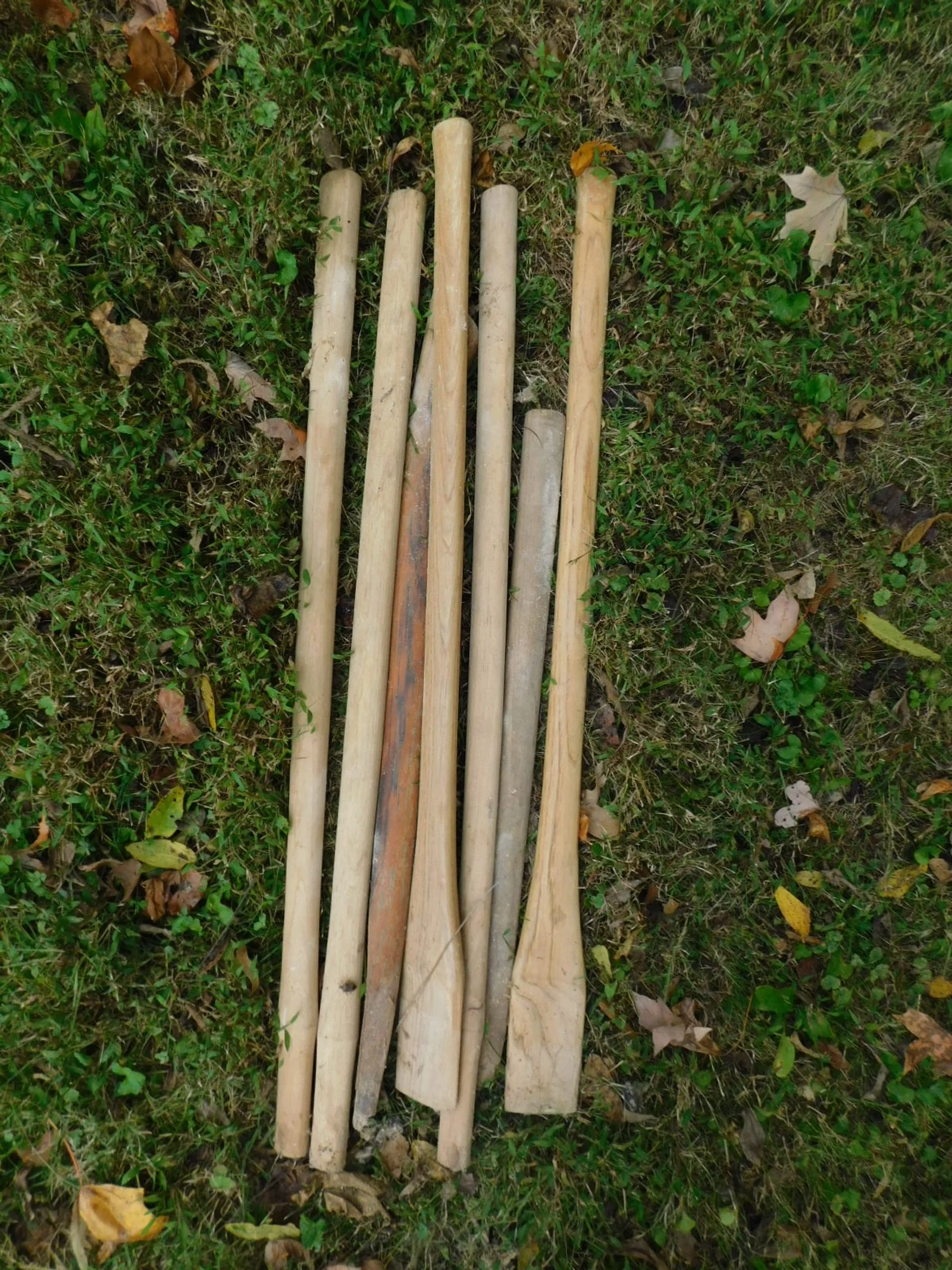 DSCN1895.JPG