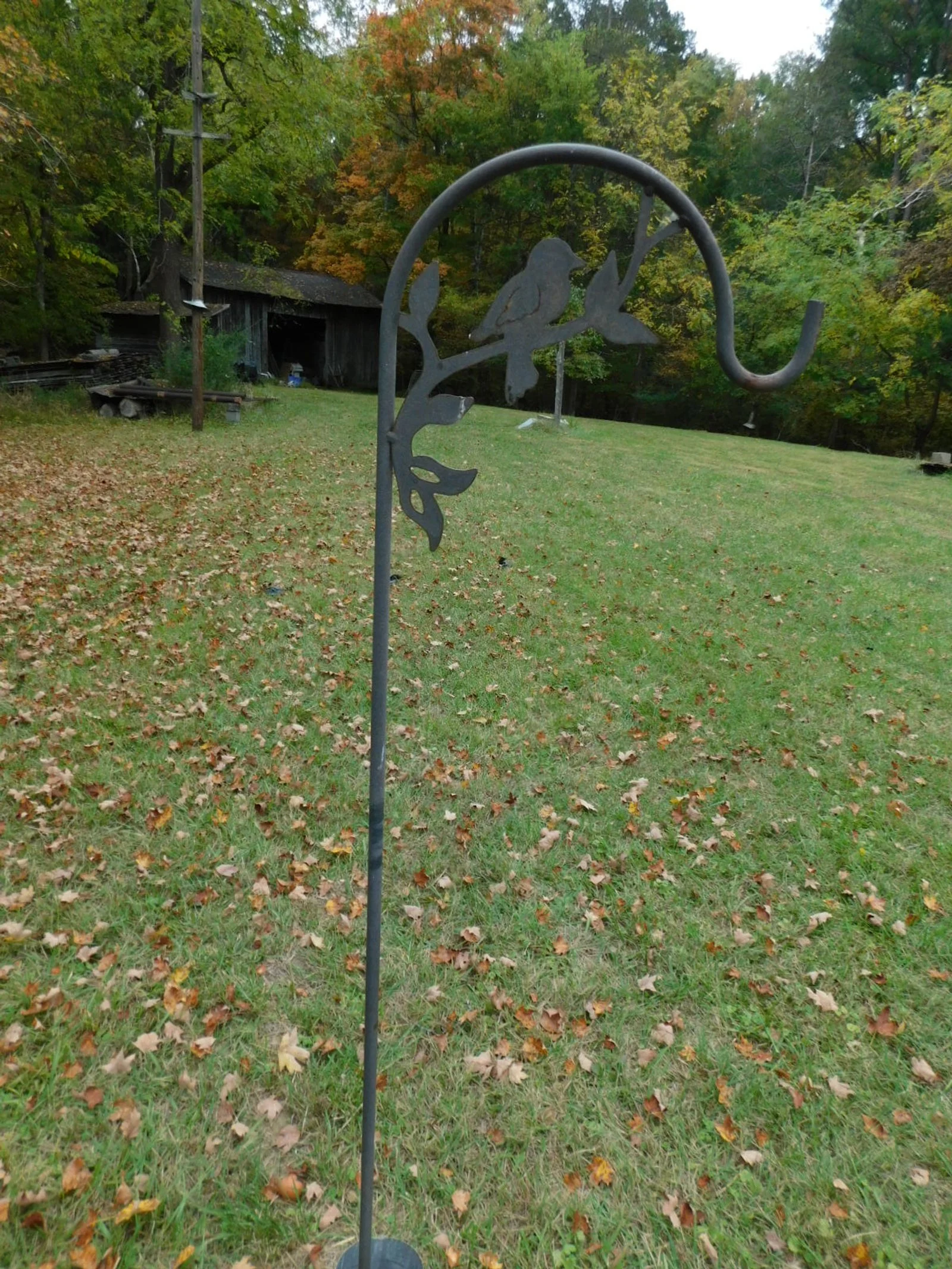 DSCN1907.JPG