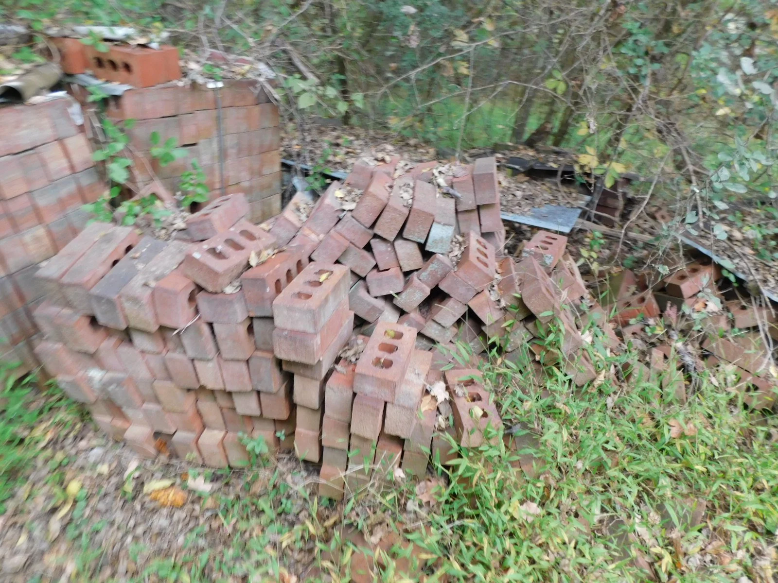 DSCN1909.JPG
