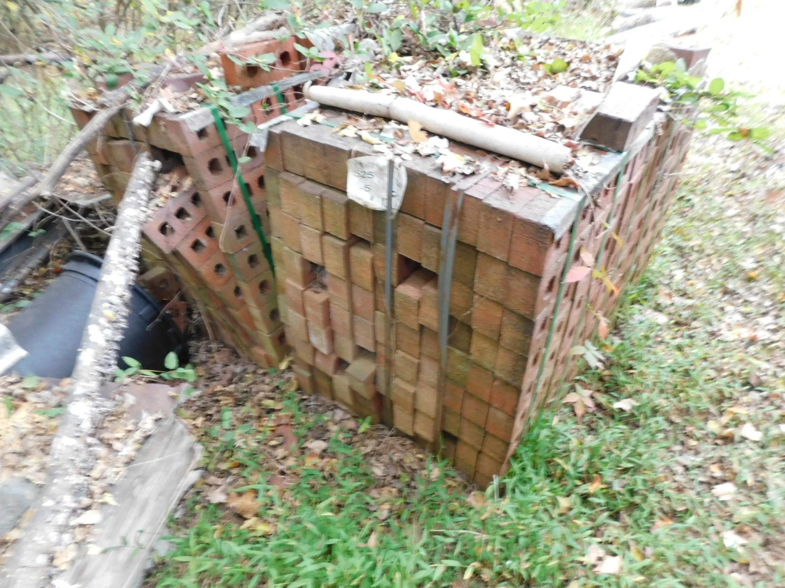 DSCN1910.JPG