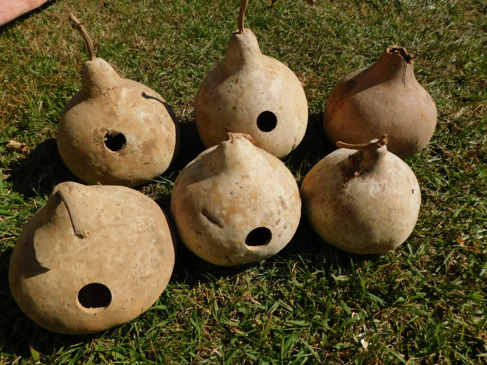 DSCN2670.JPG