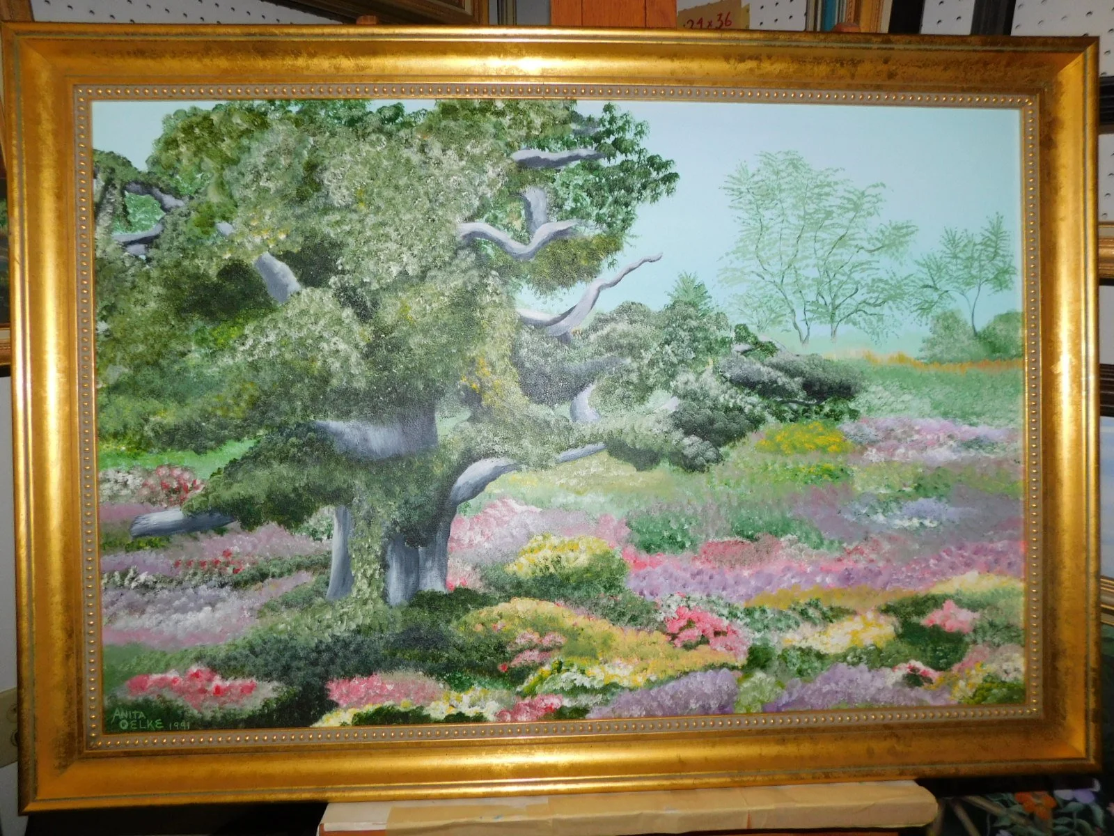 DSCN2879.JPG