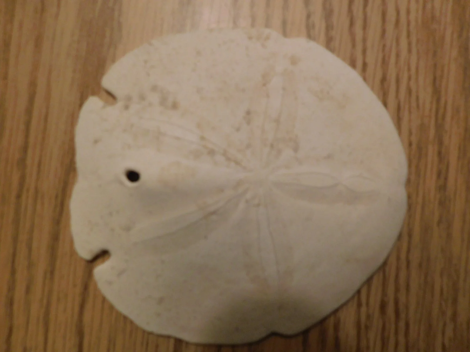 DSCN3010.JPG