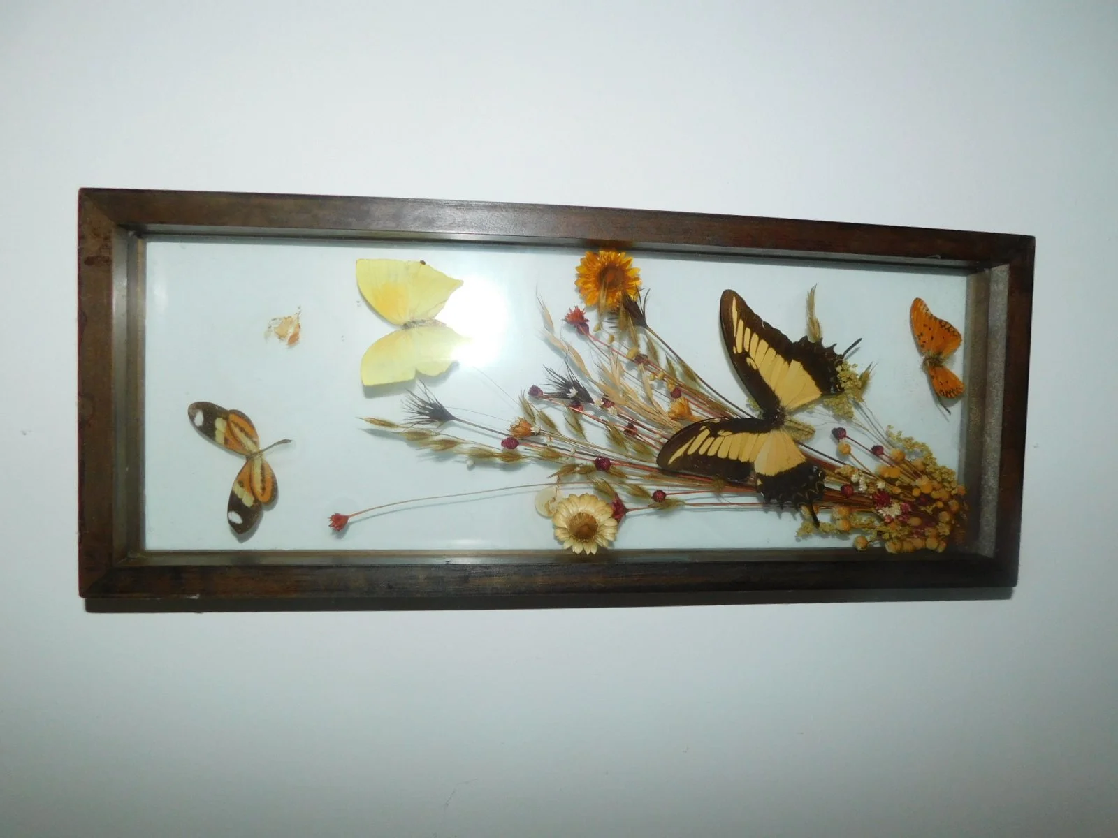 DSCN3015.JPG
