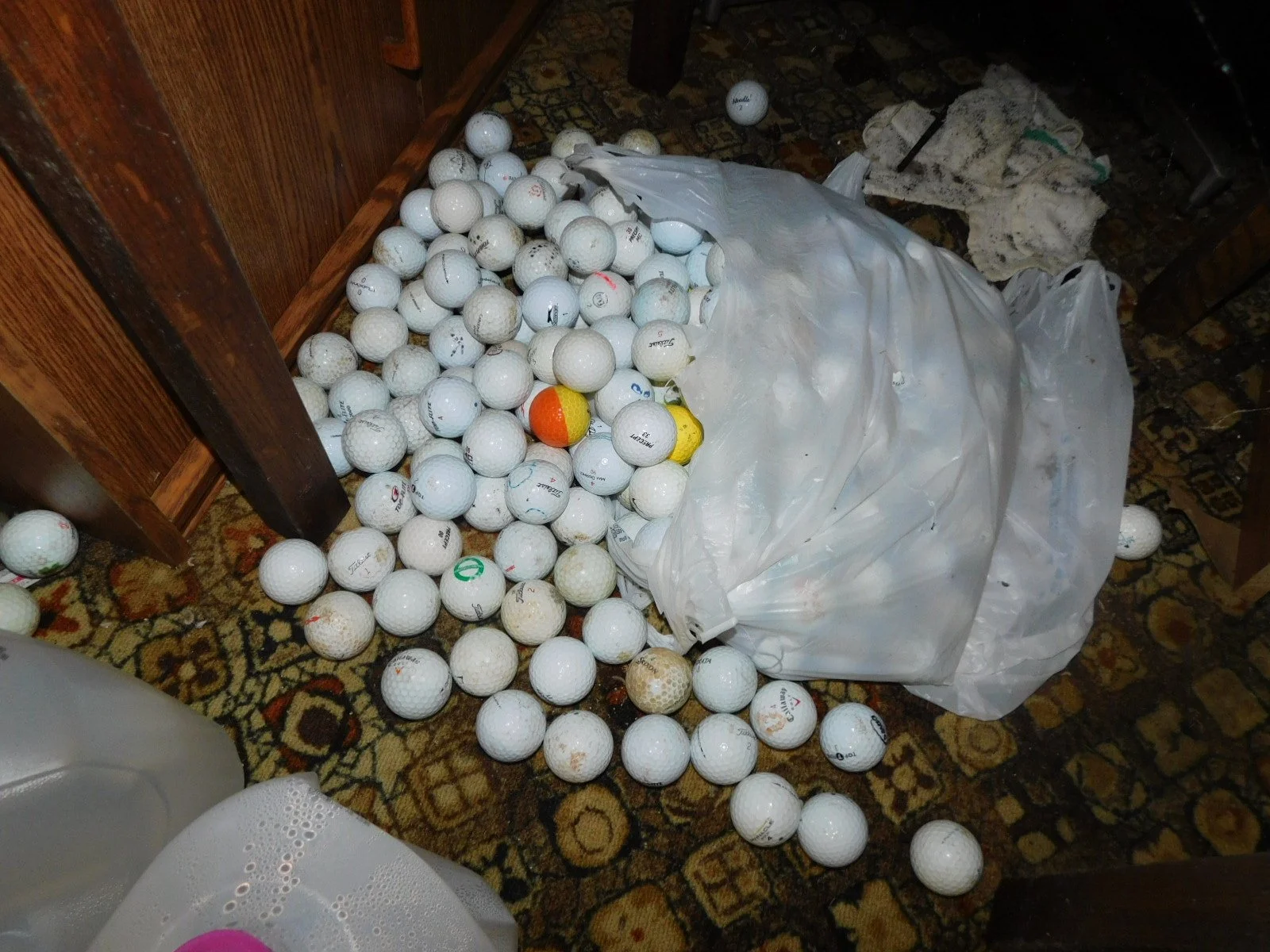 DSCN3053.JPG