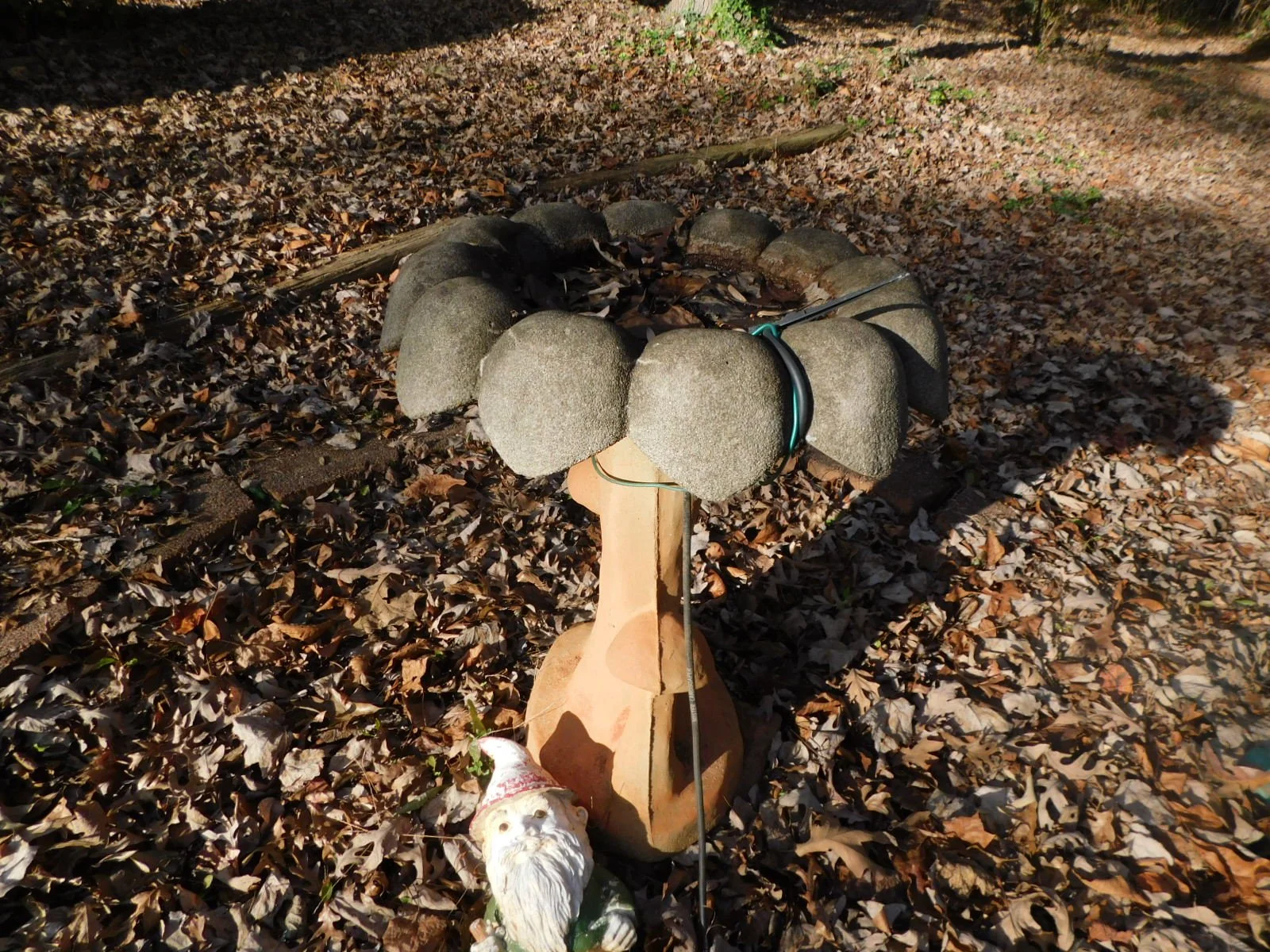 DSCN3142.JPG