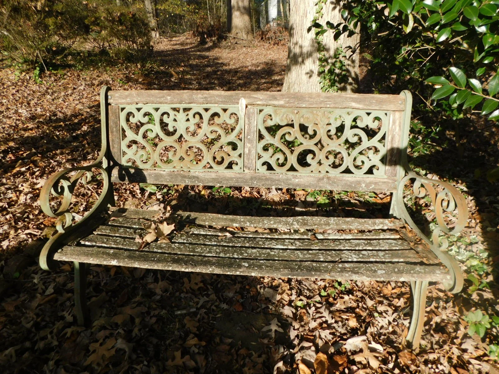 DSCN3143.JPG