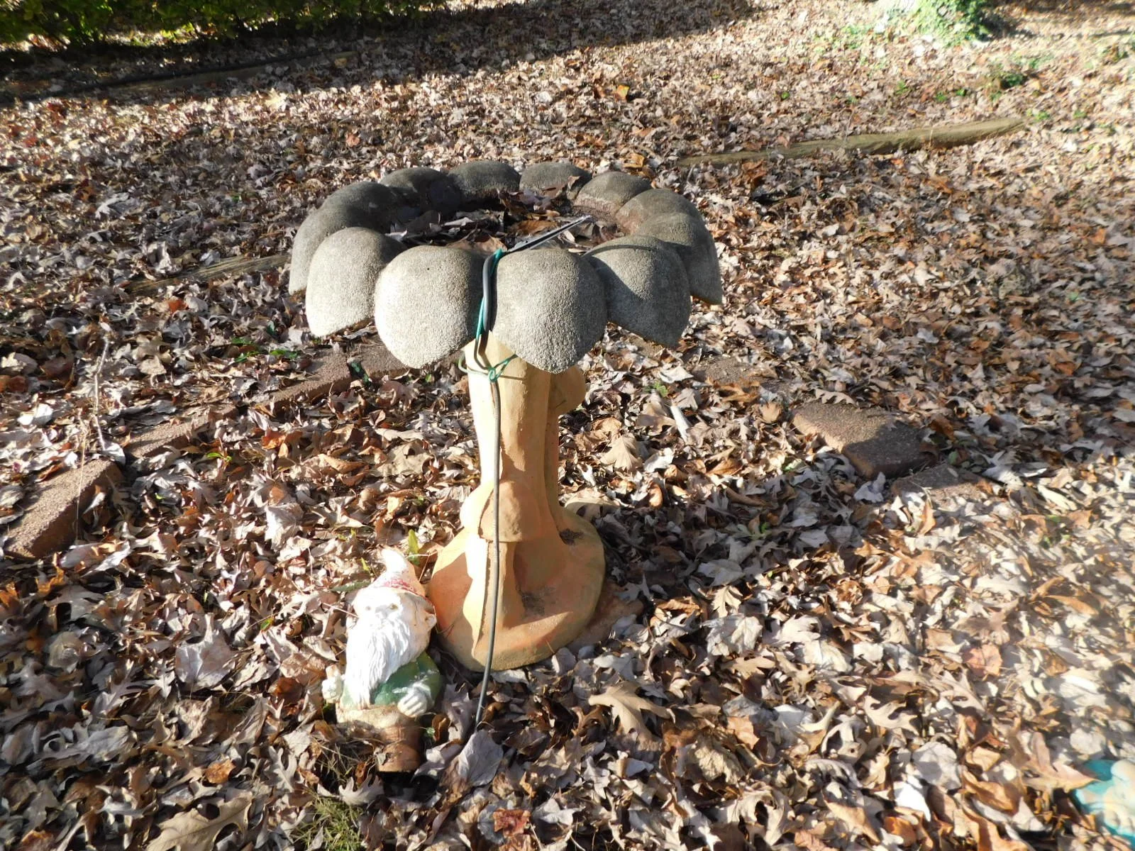 DSCN3146.JPG