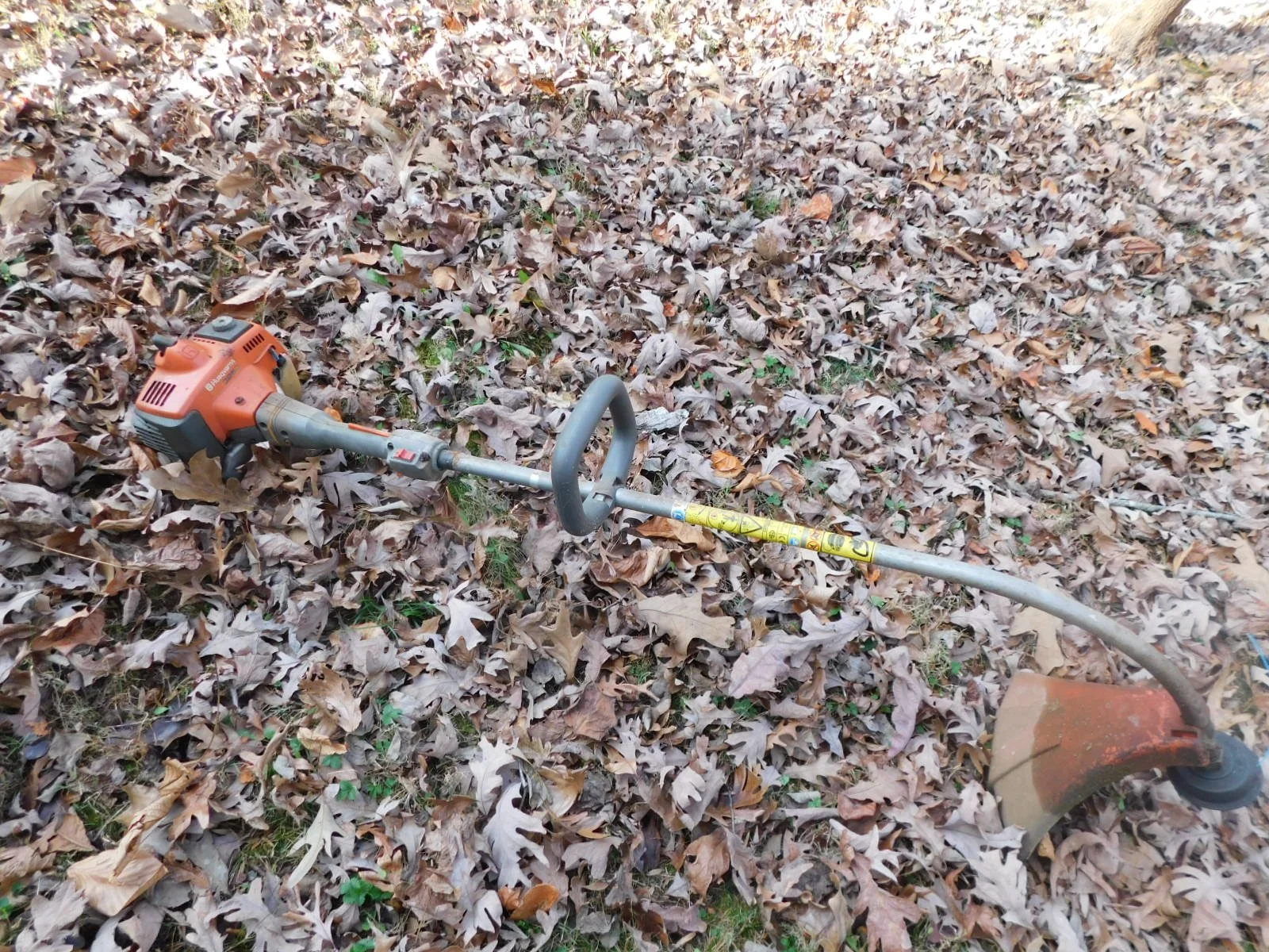 DSCN3157.JPG