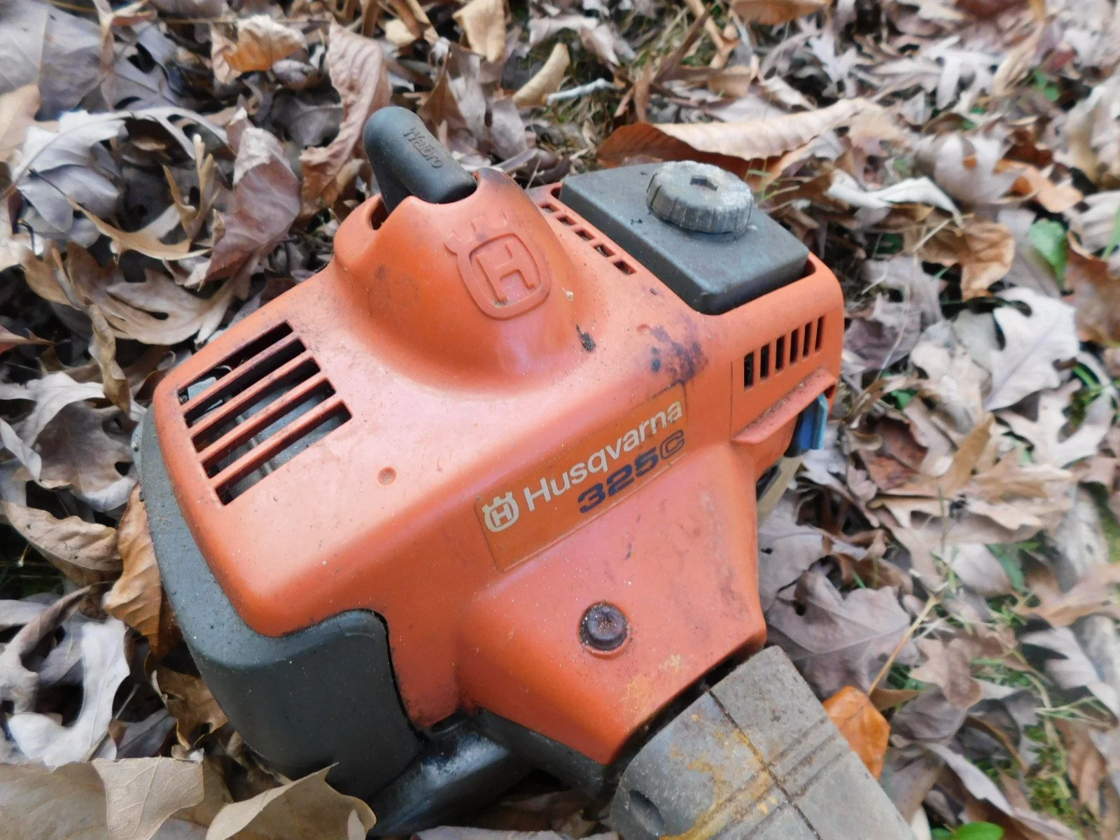 DSCN3158.JPG
