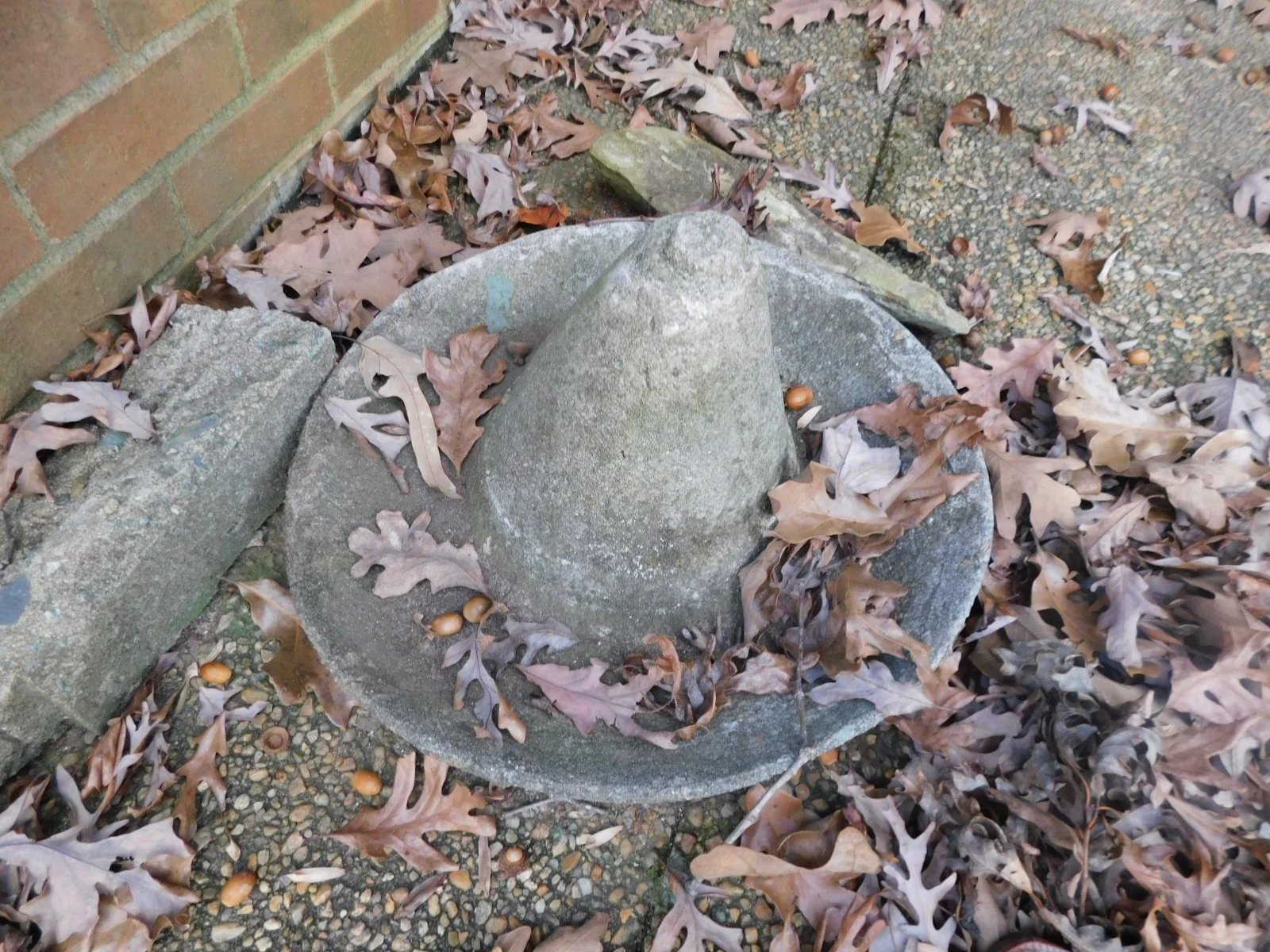 DSCN3166.JPG