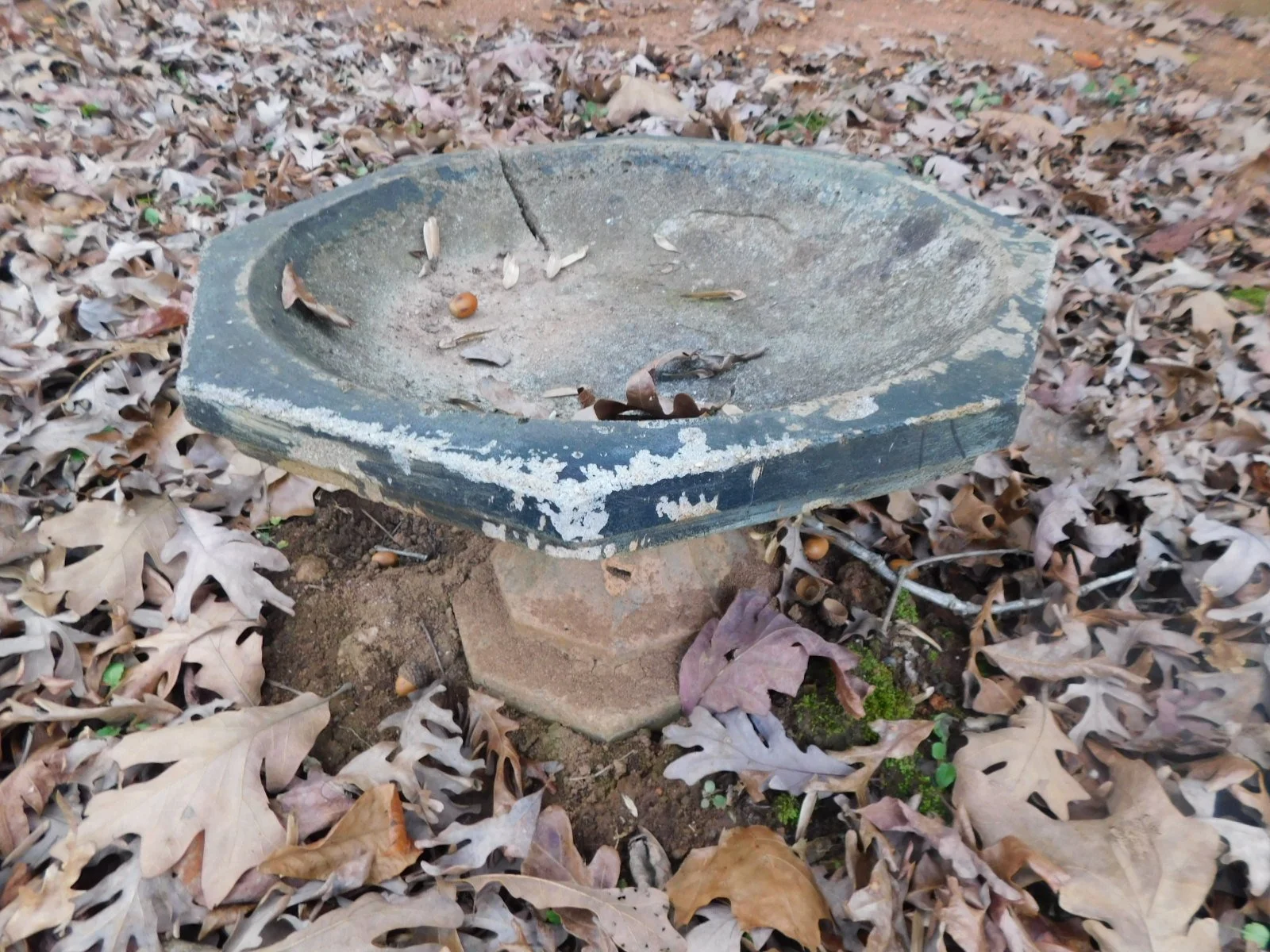 DSCN3172.JPG