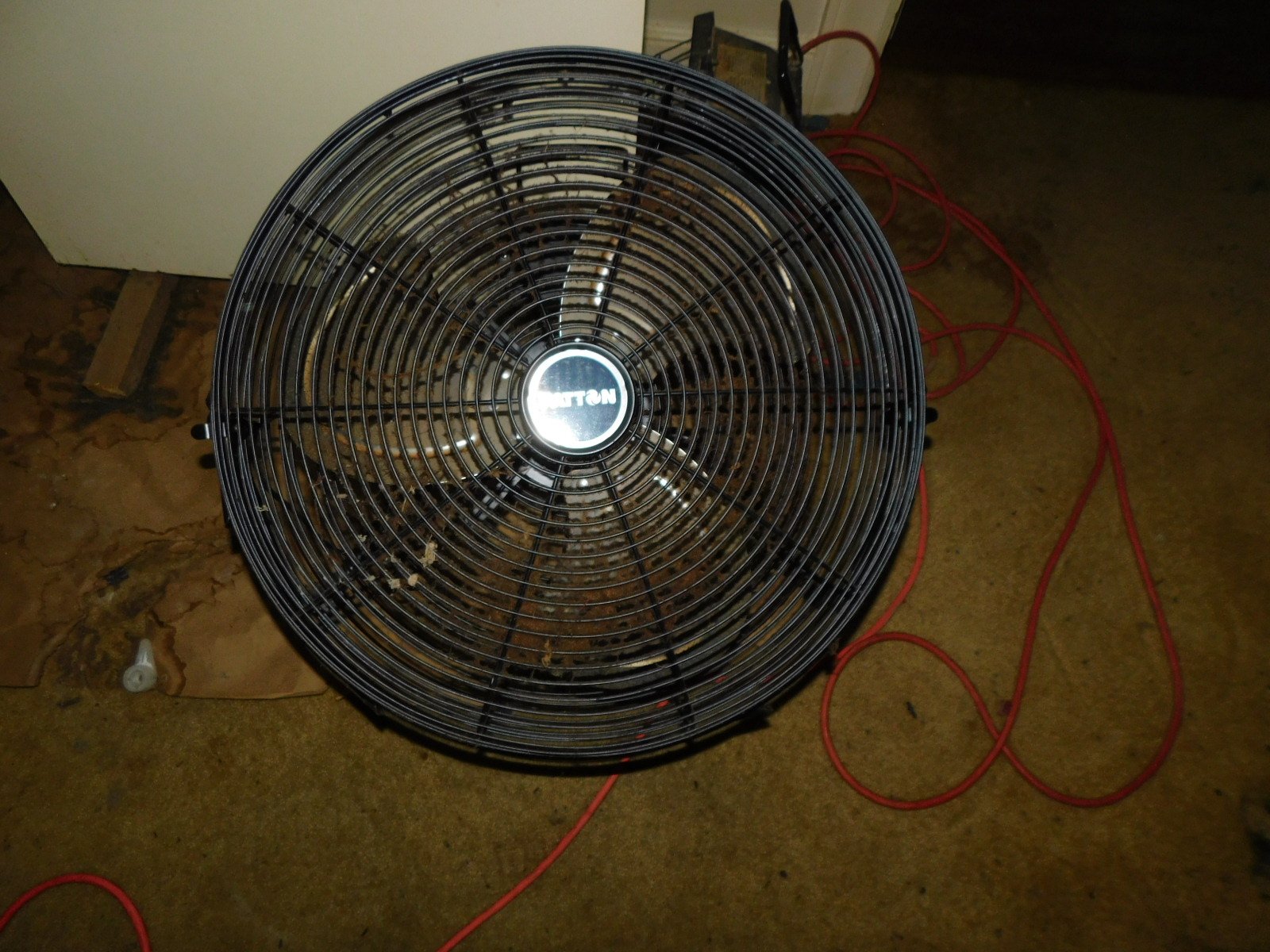 DSCN3786.JPG