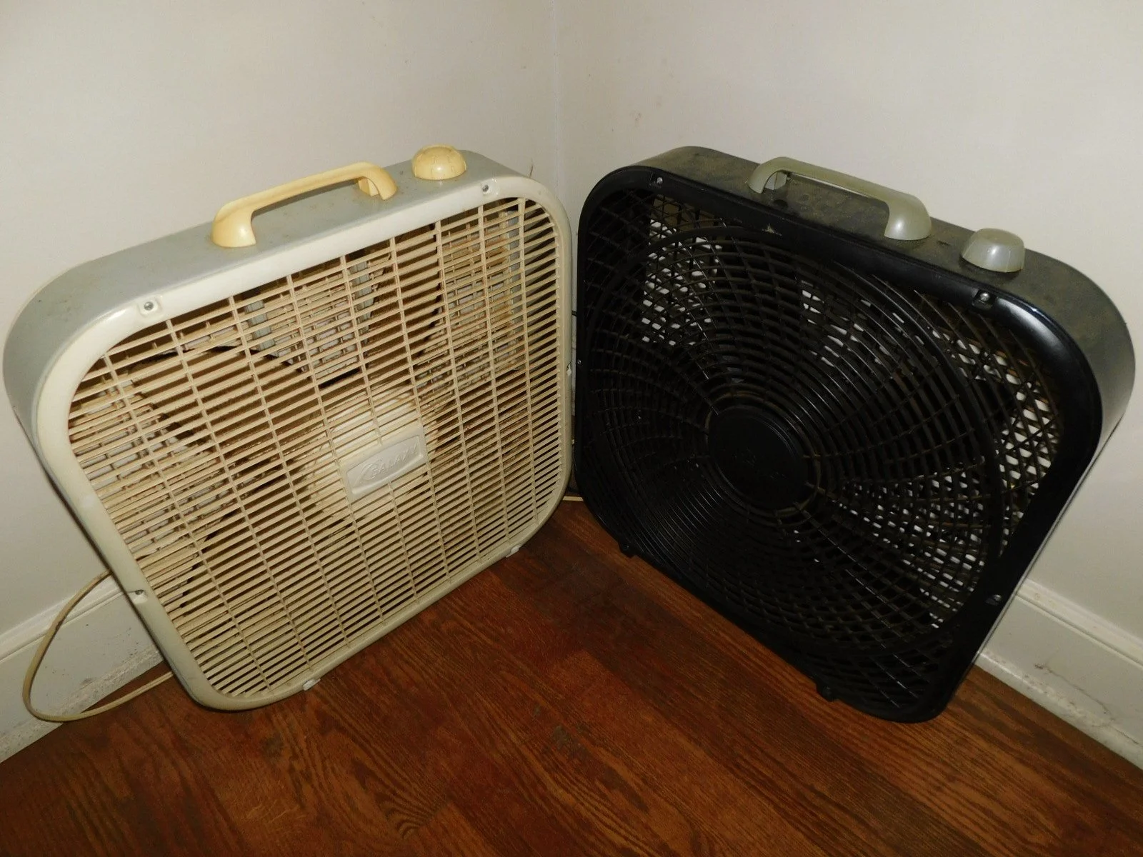 DSCN3799.JPG