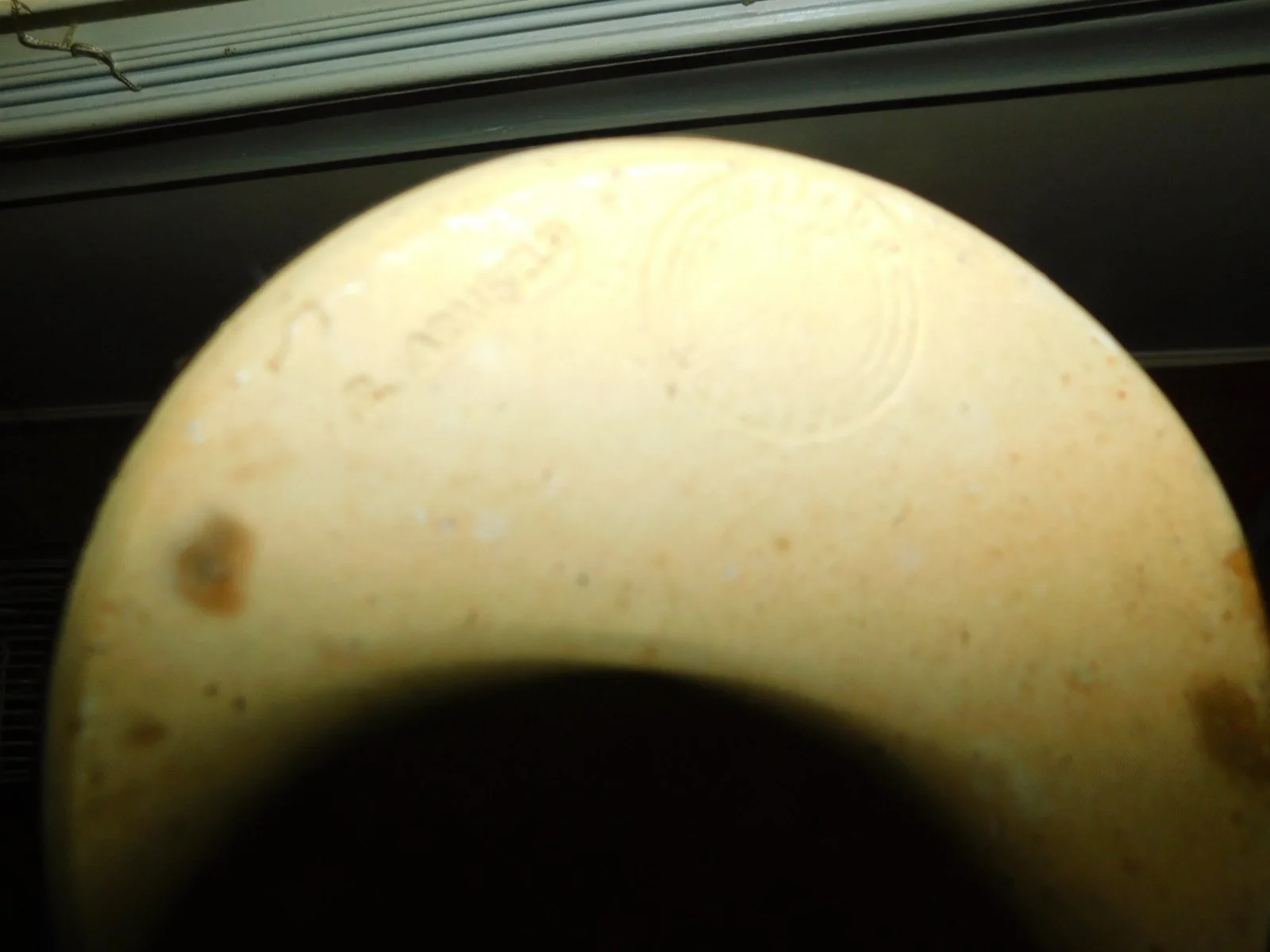 DSCN3821.JPG