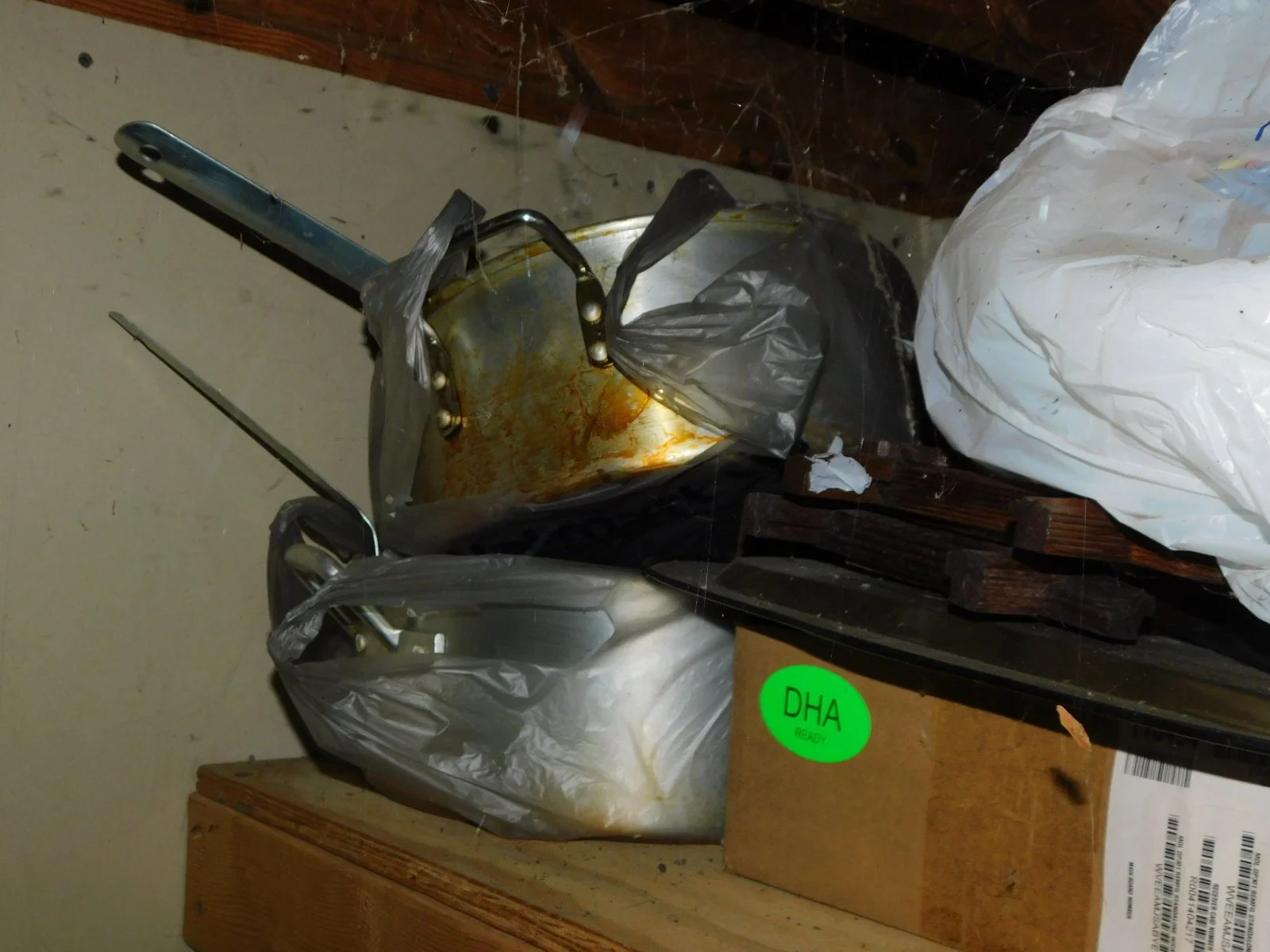 DSCN3878.JPG