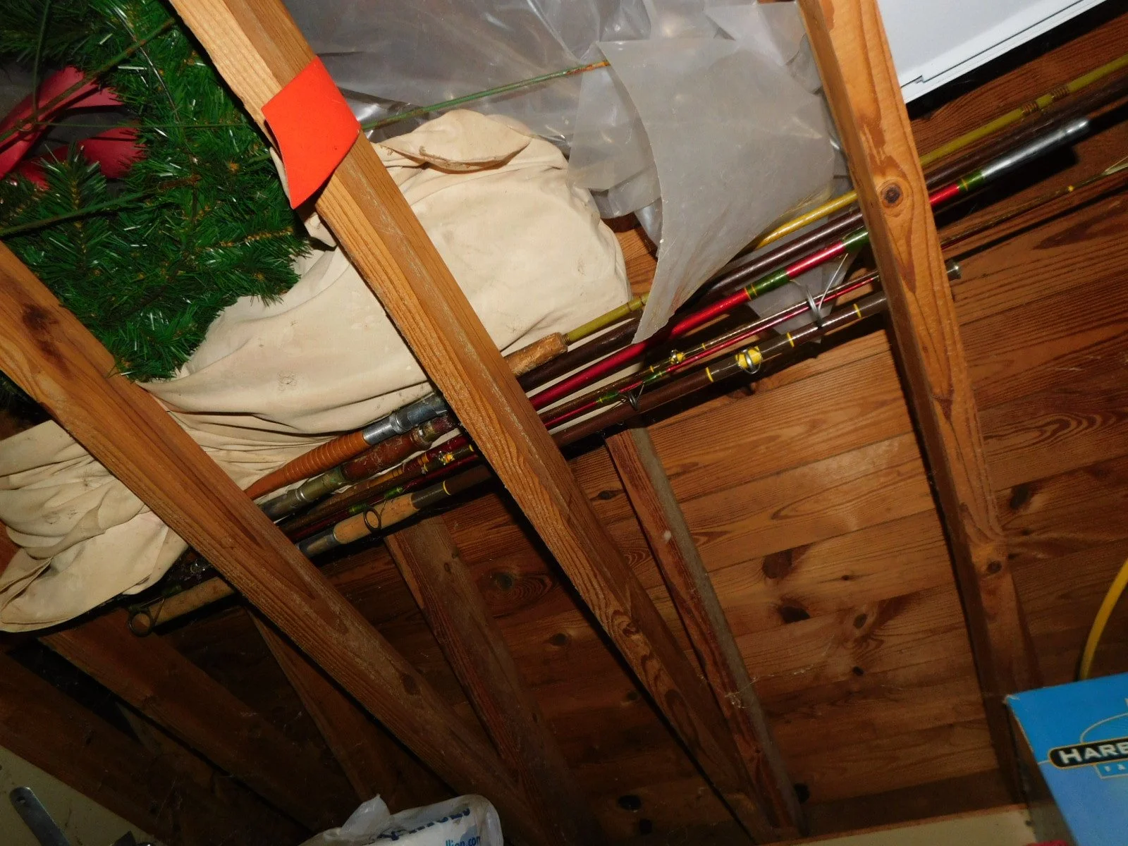DSCN3909.JPG